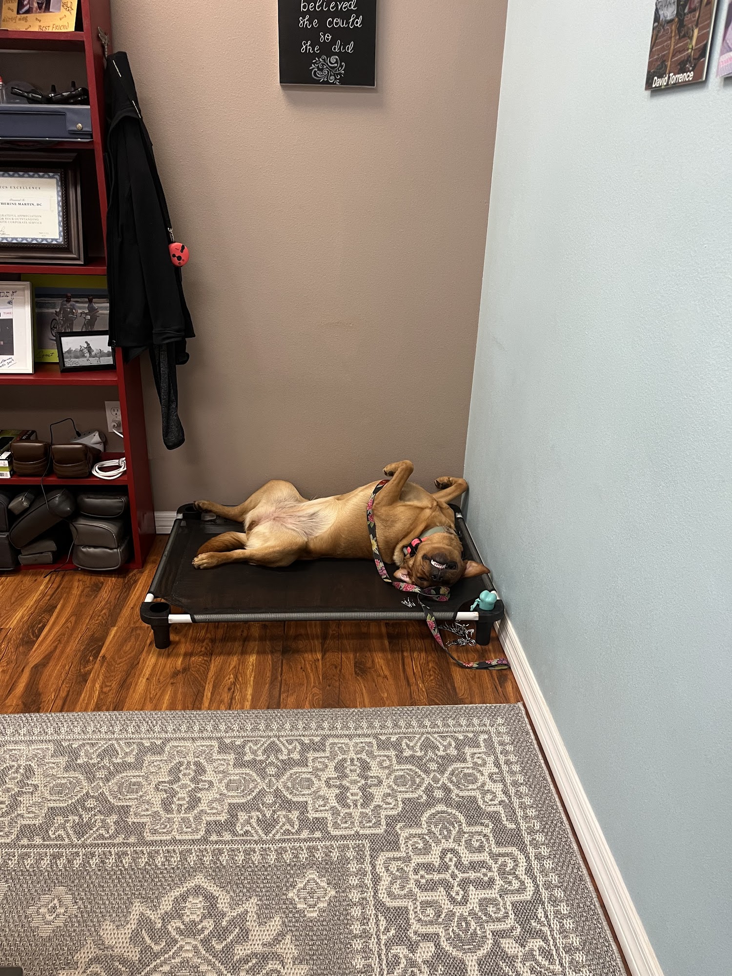 Contemporary Alternative Care