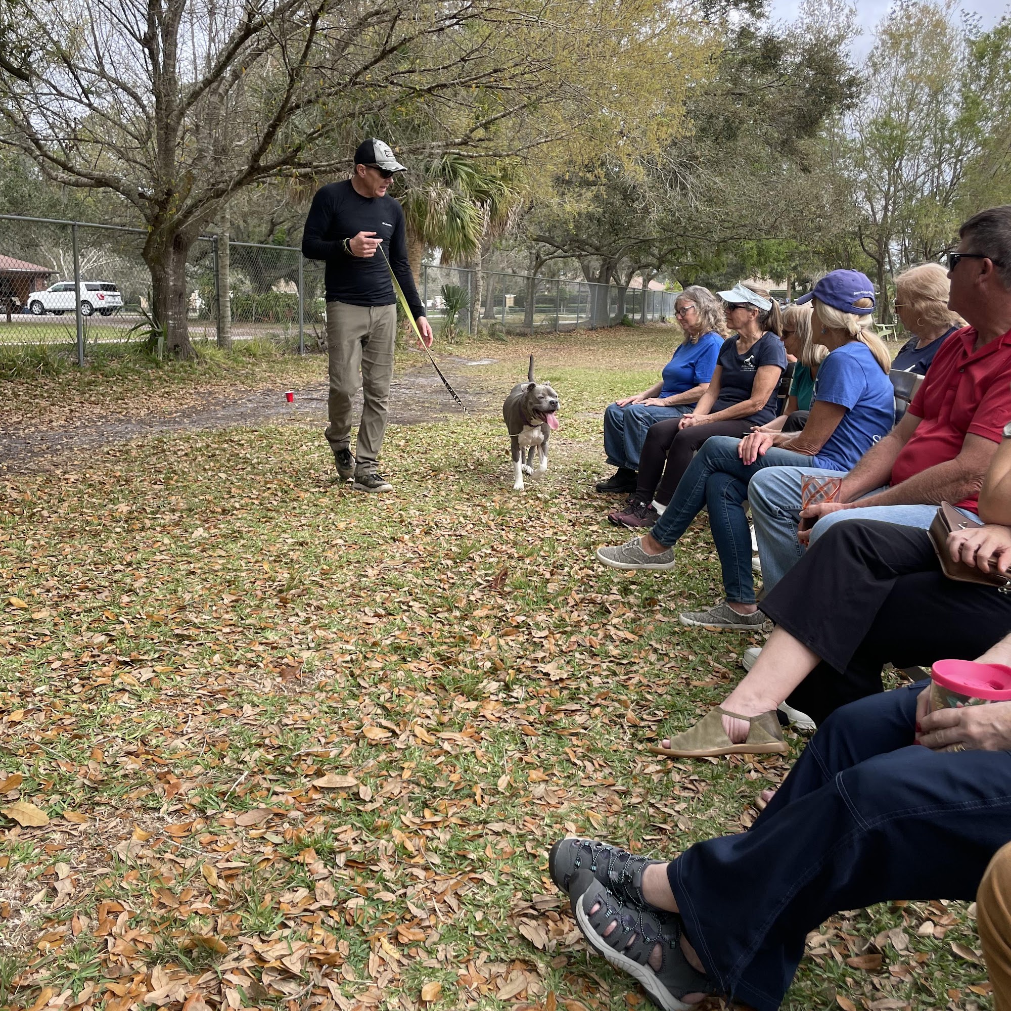 SarasotaDog.Net Sarasota