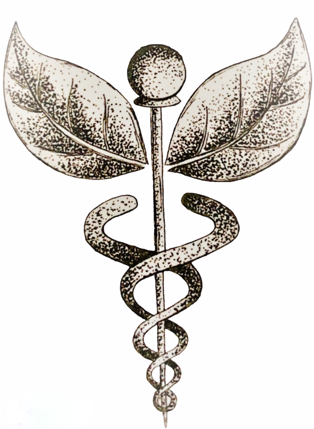 Absolute Acupuncture & Stress Relief