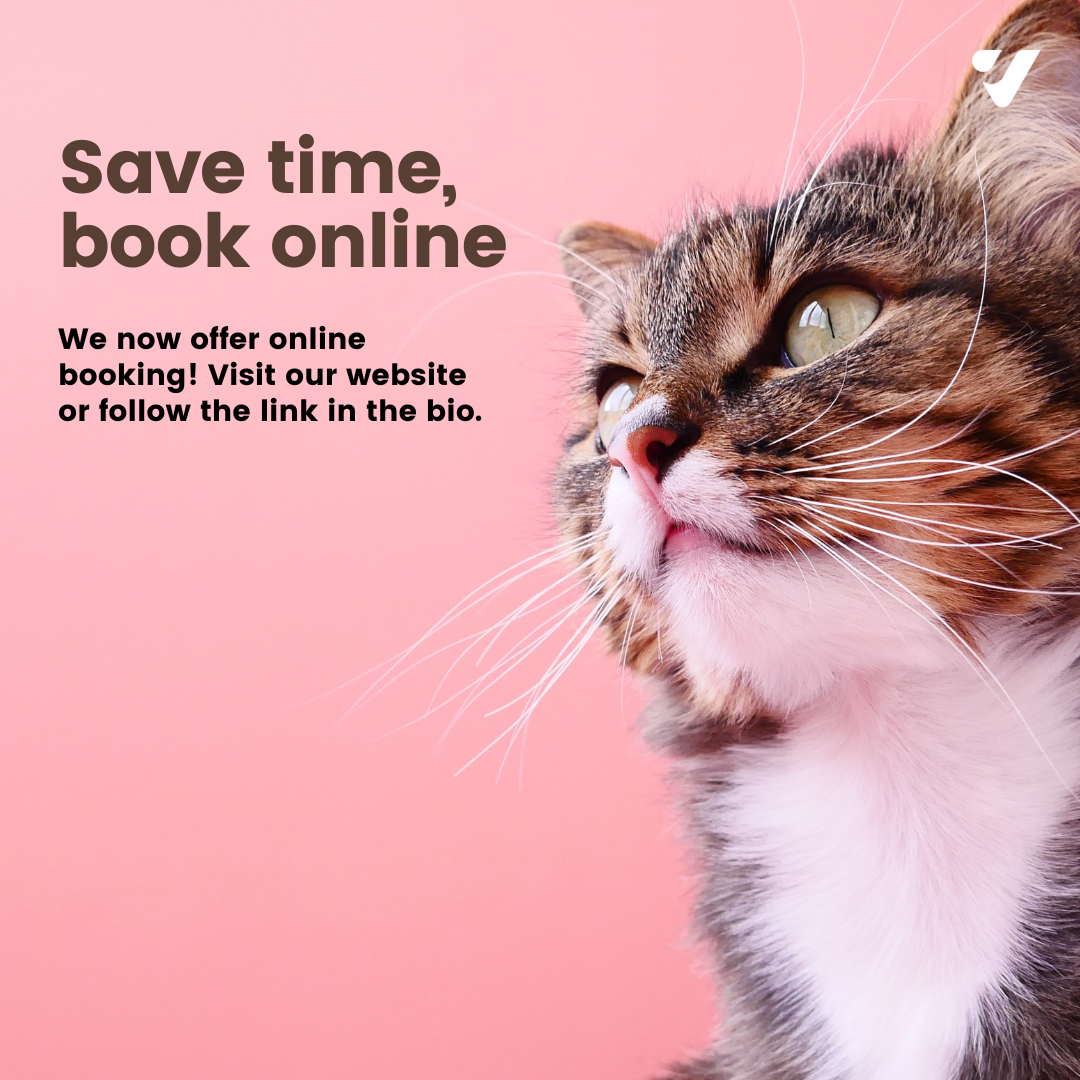 Partners Animal Hospital Fruitville Sarasota