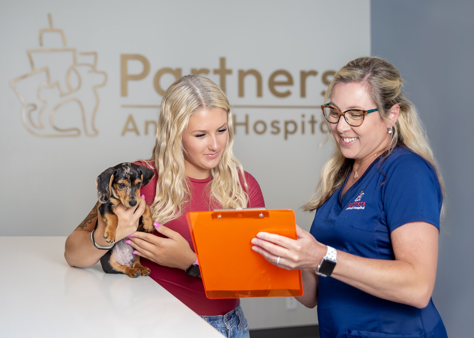 Partners Animal Hospital Fruitville