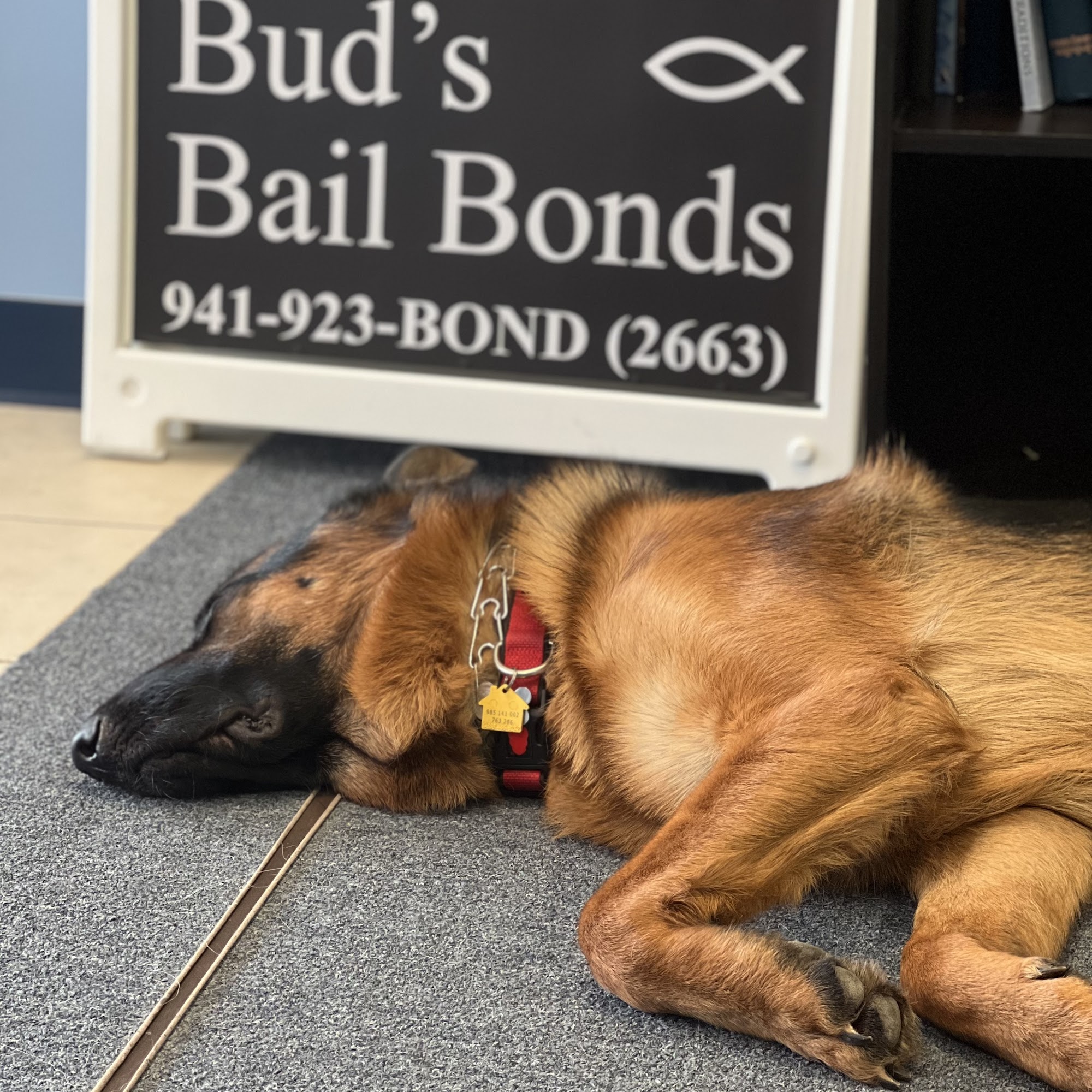 Bud's Bail Bonds 2245 Ringling Blvd, Sarasota Florida 34237