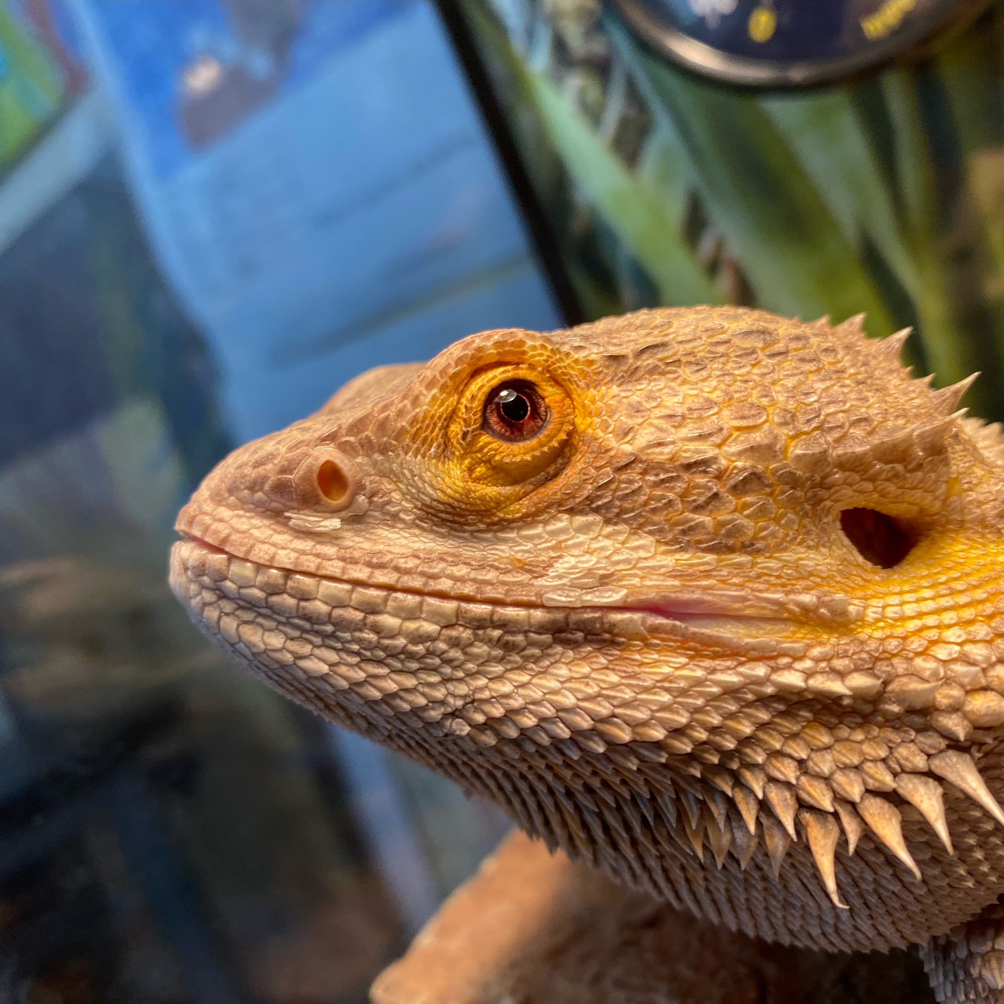 Ashley's Here to Help