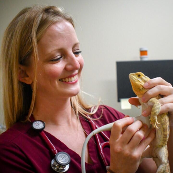 Aloha Pet & Bird Hospital Satellite Beach