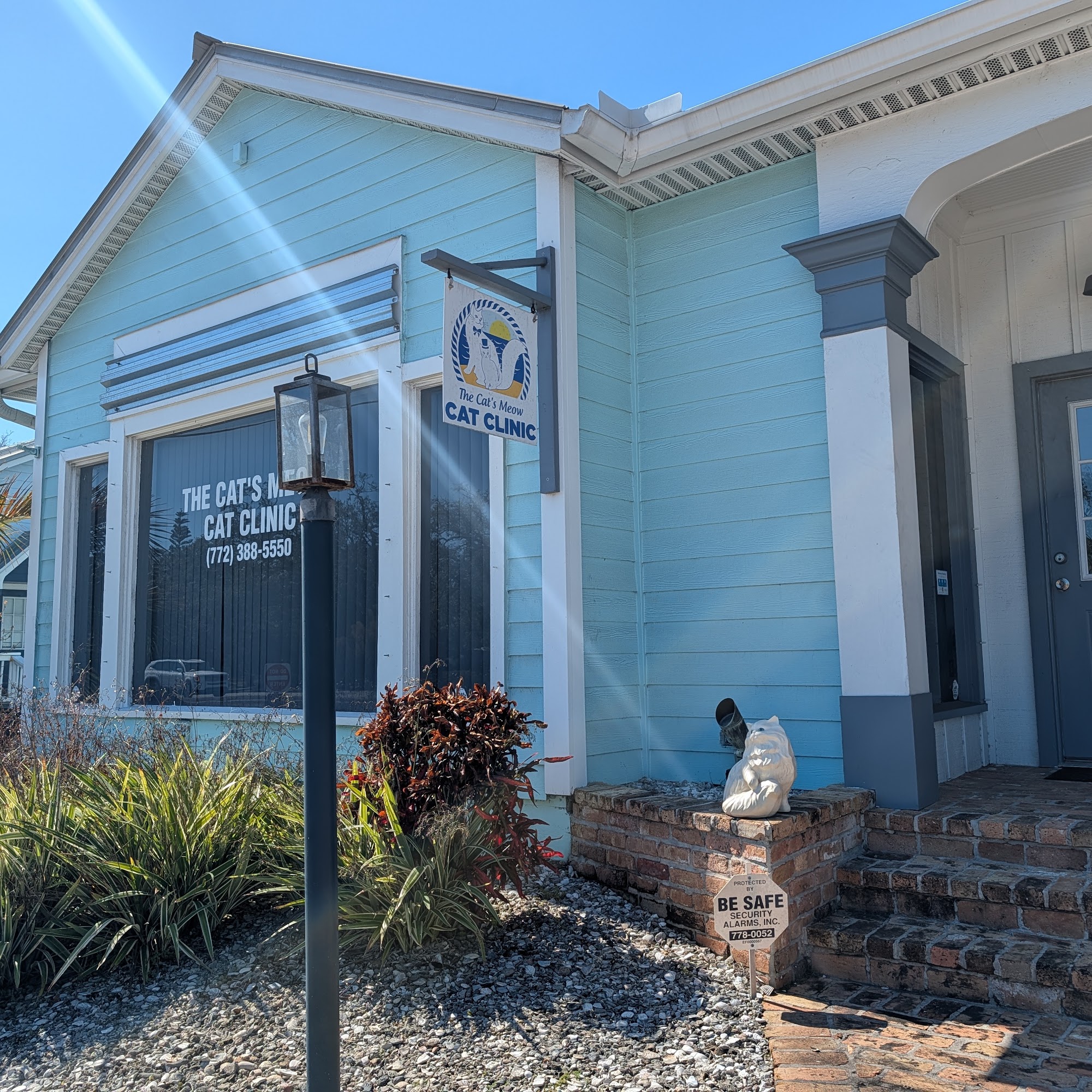 The Cats Meow Cat Clinic: Dr Amy Cousino, DVM Sebastian