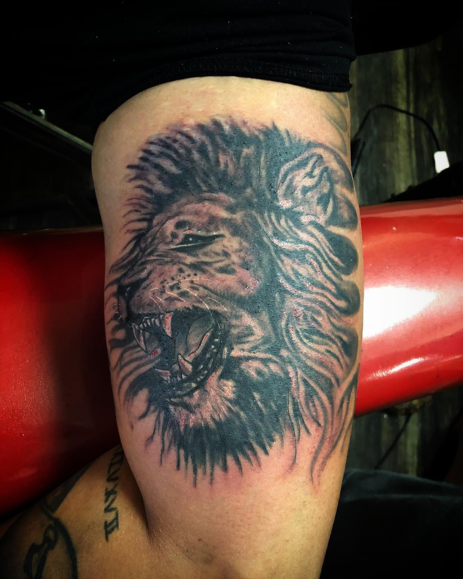 Almighty Ink Tattoos and Piercing 4141 US Hwy 27 N Suite 4, Sebring, FL 33870