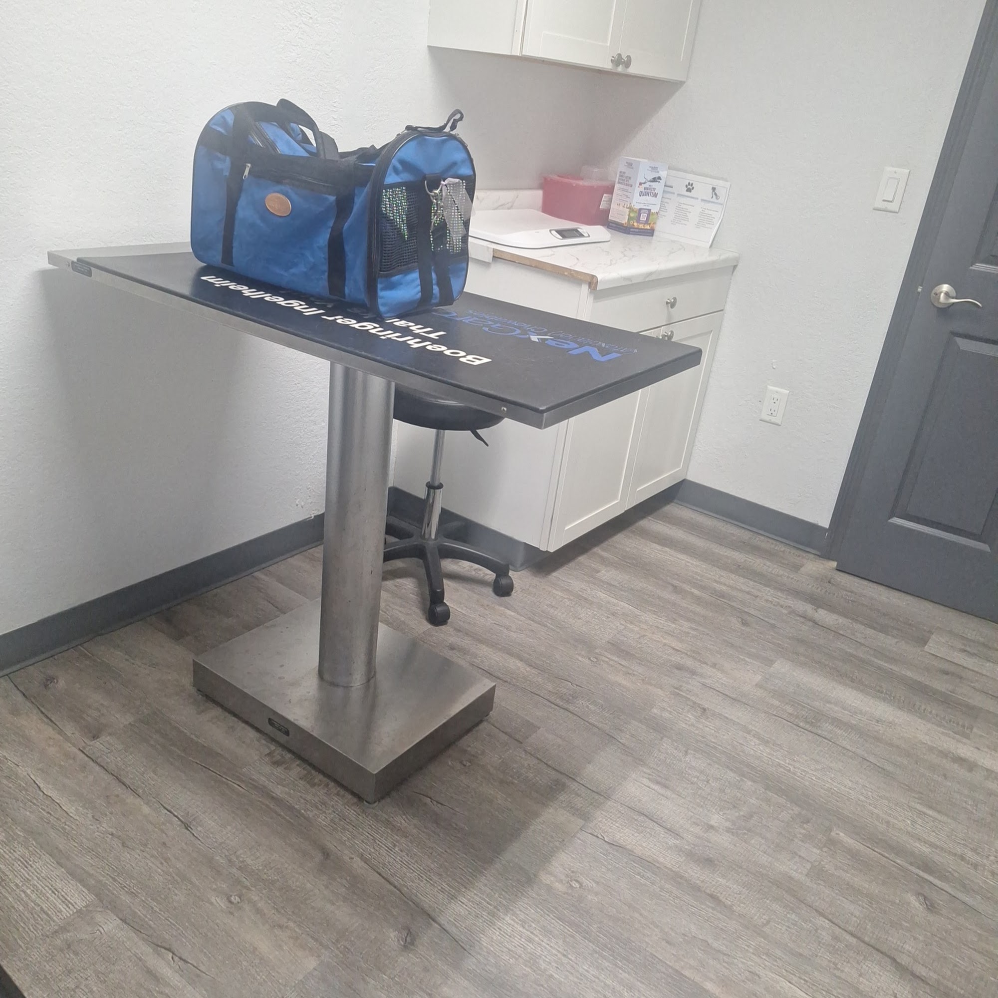 Oak Hammock Animal Hospital Sebring