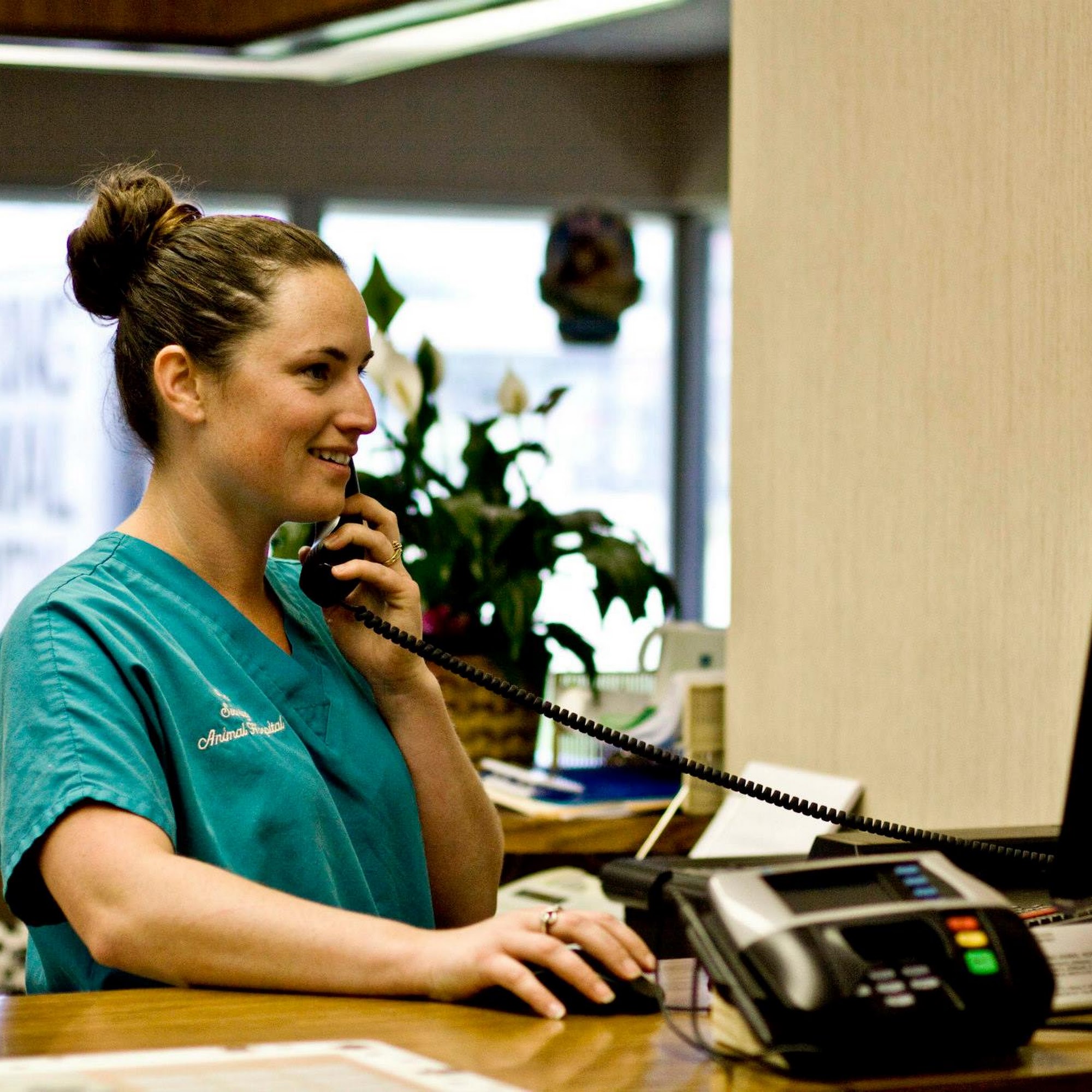 Sebring Animal Hospital Sebring