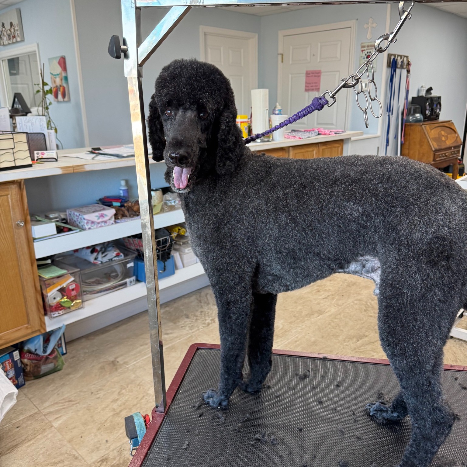 Pretty Paws Pet Grooming Salon Sebring