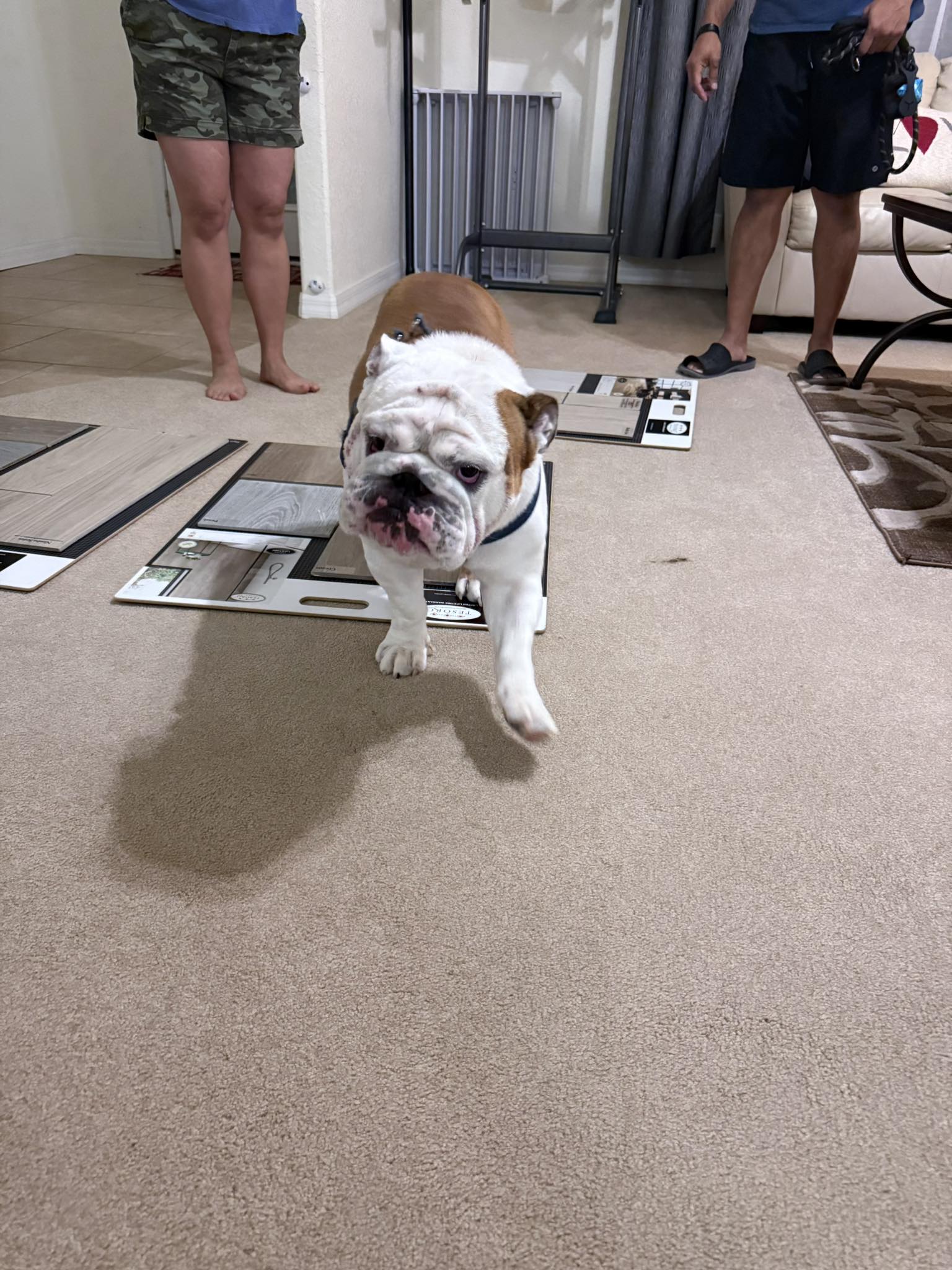 Signature Floors & Design Gallery