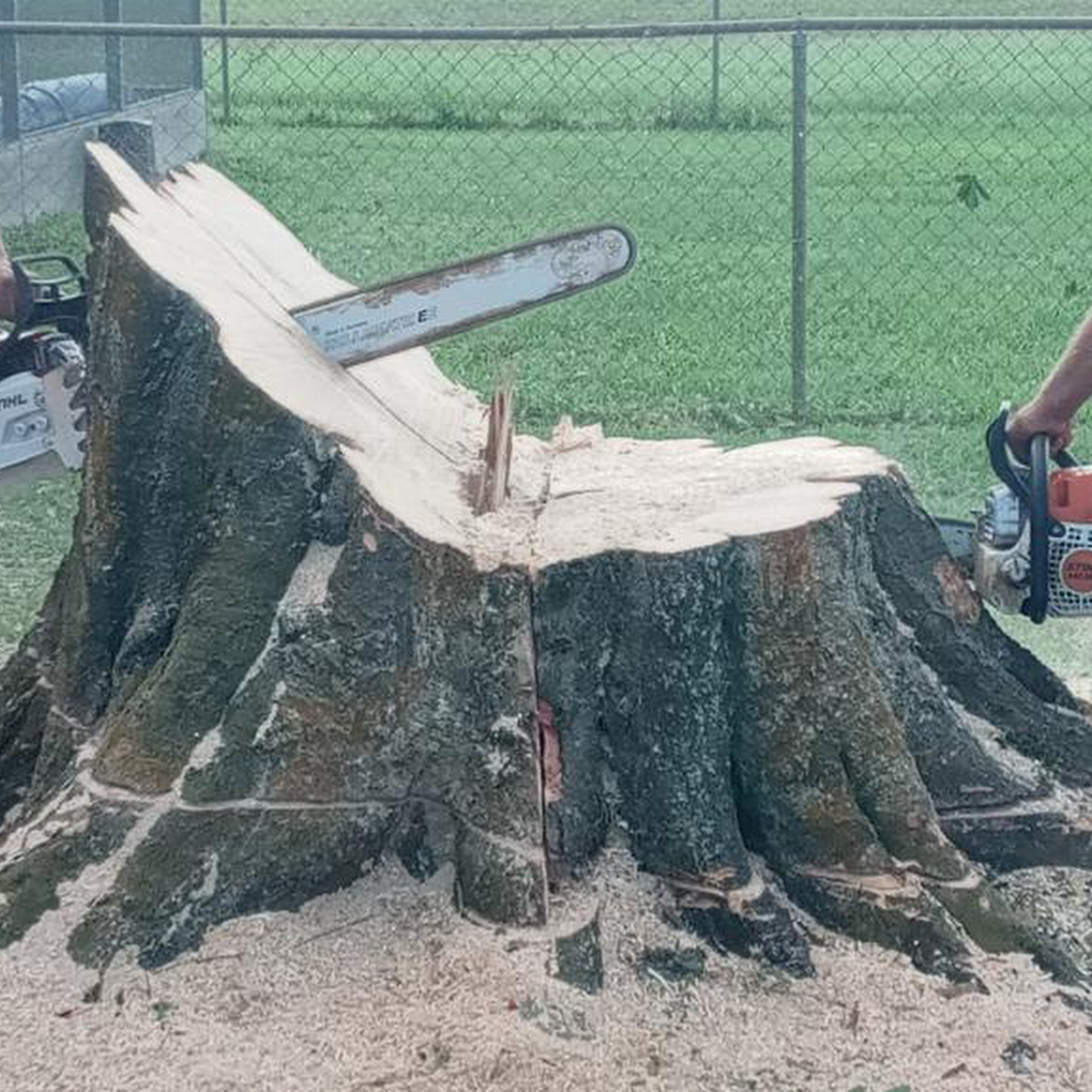 J & L Tree Service, LLC 1377 Lake Josephine Dr, Sebring Florida 33875