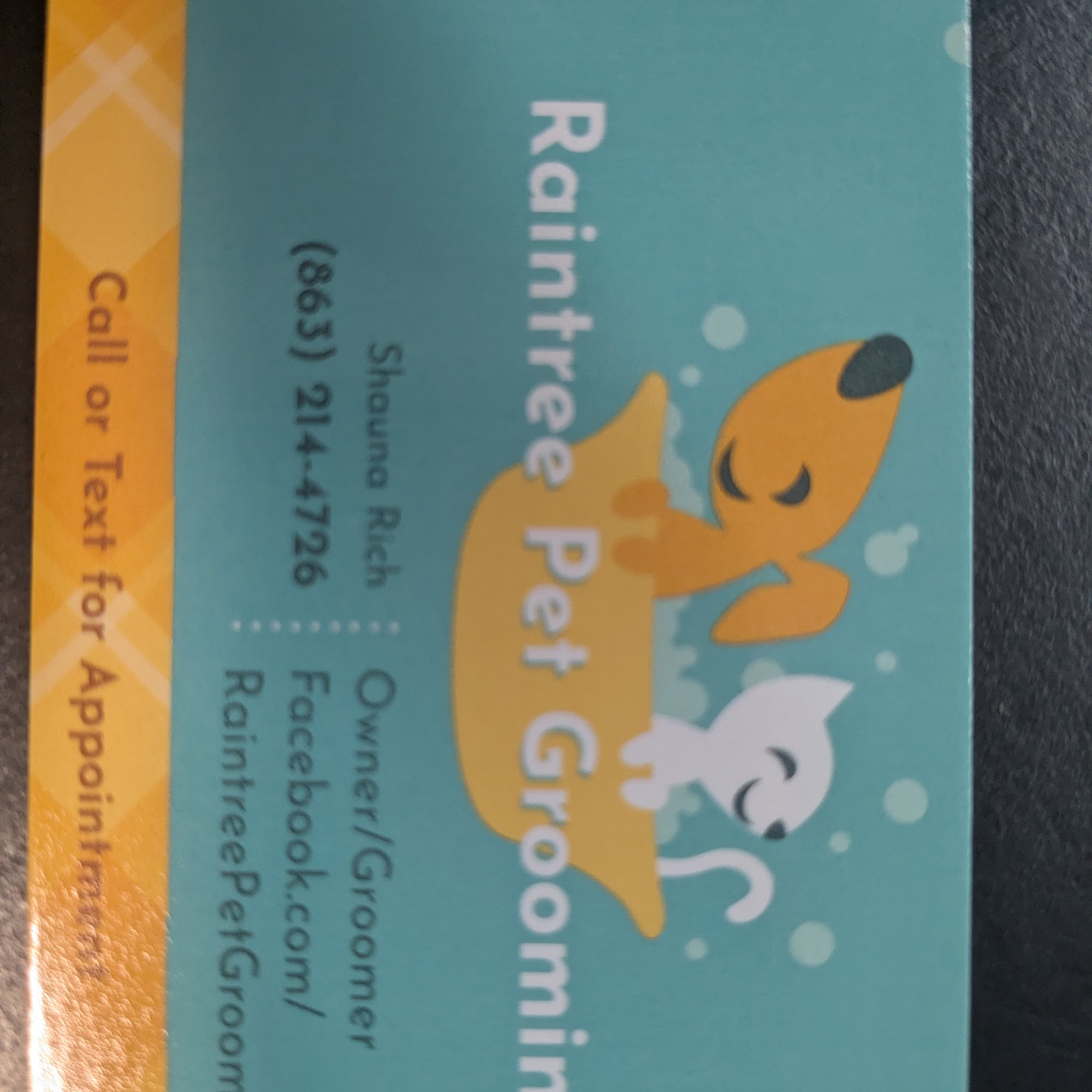 Raintree Pet Grooming 4692 US-27, Sebring Florida 33870