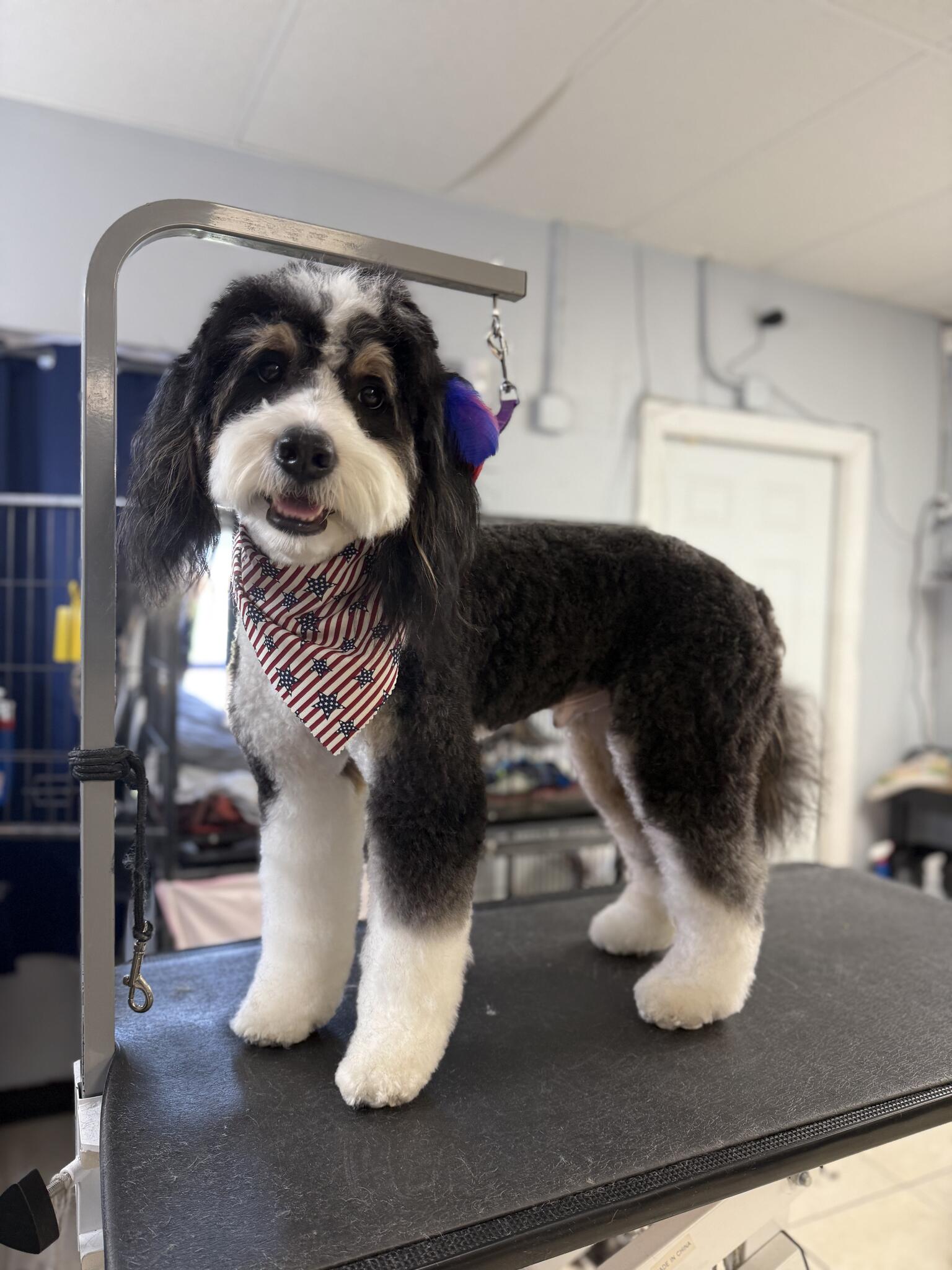 Photo credit: nextdoor