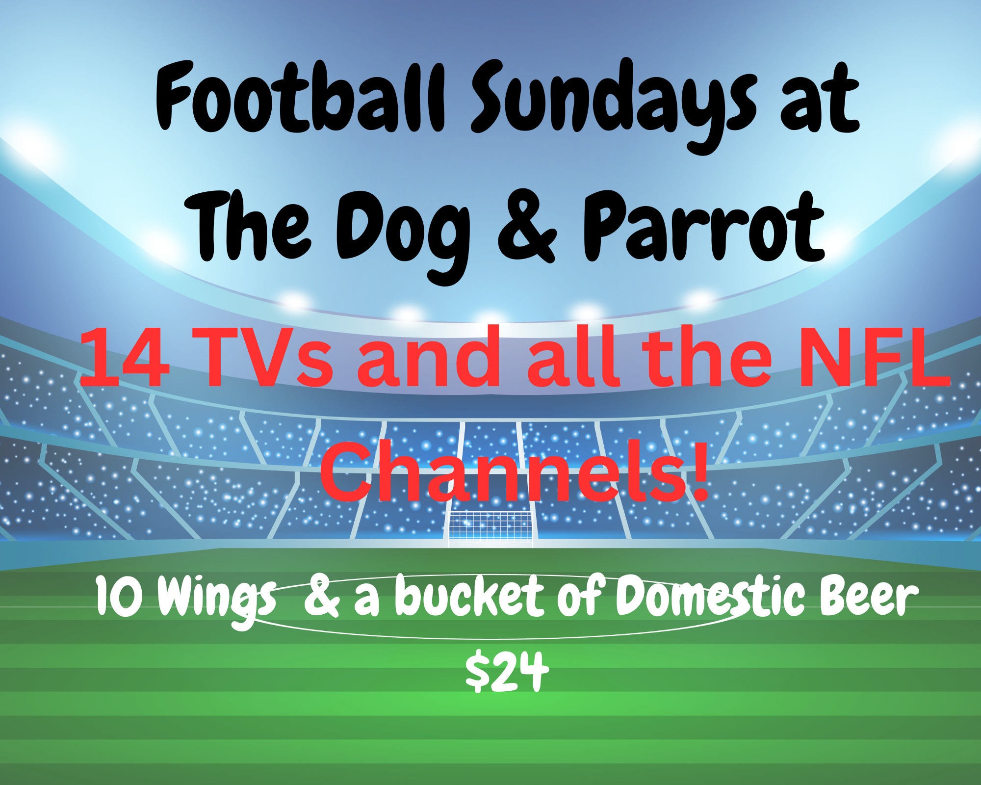 The Dog & Parrot Menu