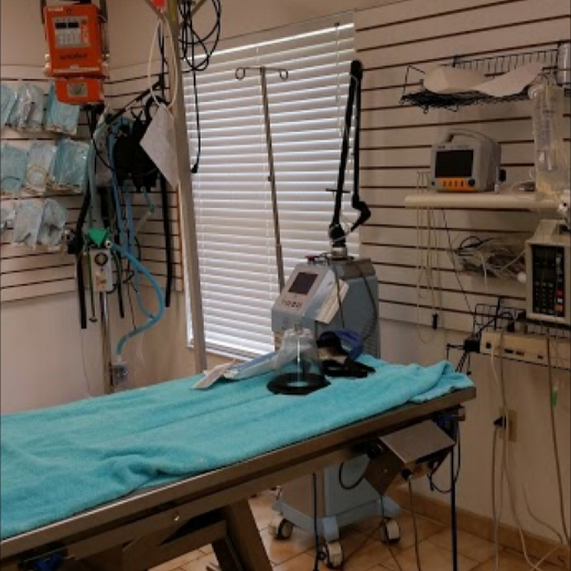 East Lake Animal Clinic Sorrento