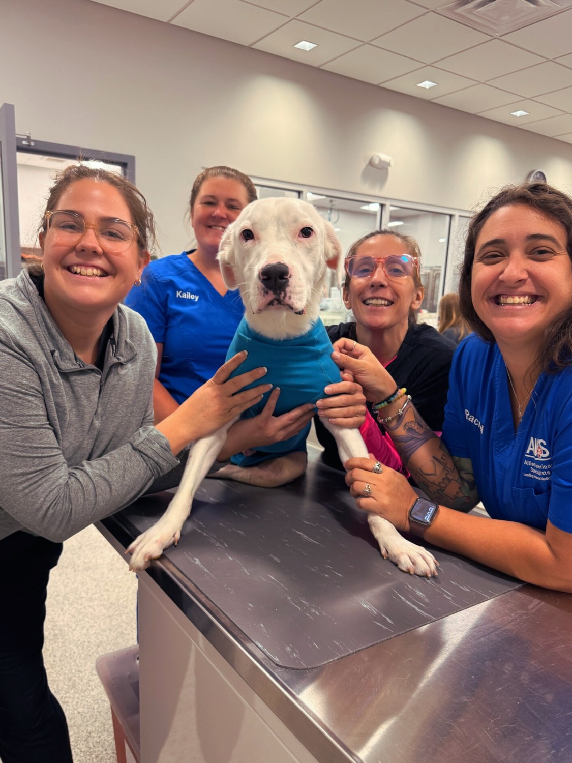 Allied Veterinary Specialists South Daytona