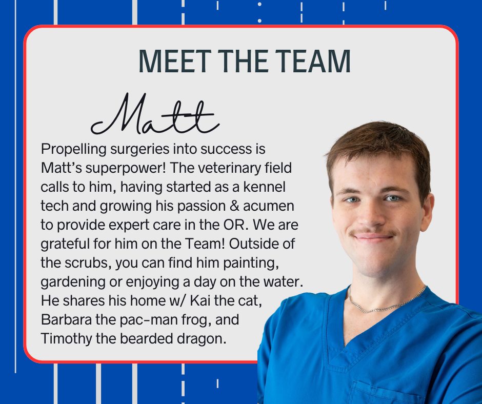 Allied Veterinary Specialists South Daytona