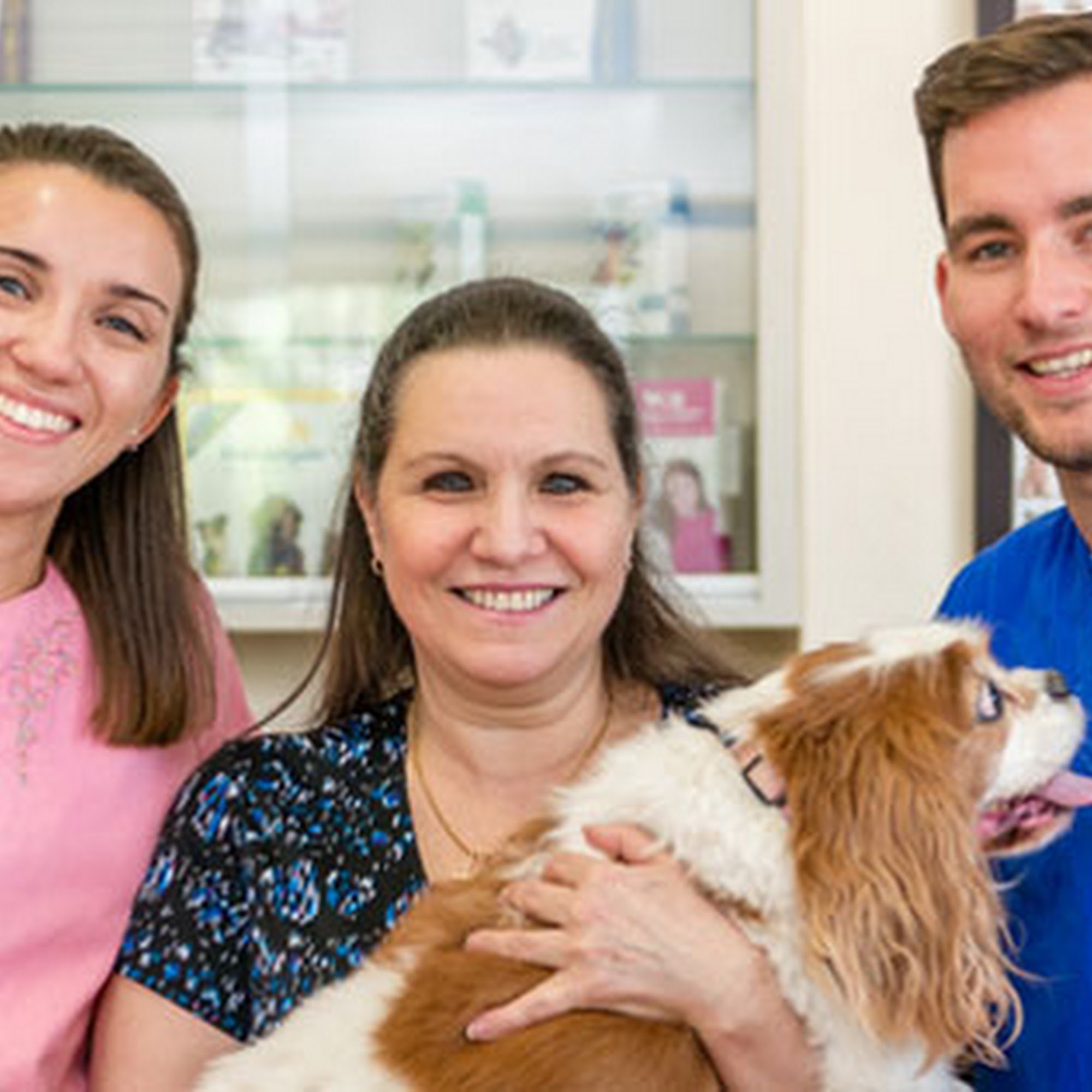 South Miami Animal Clinic South Miami
