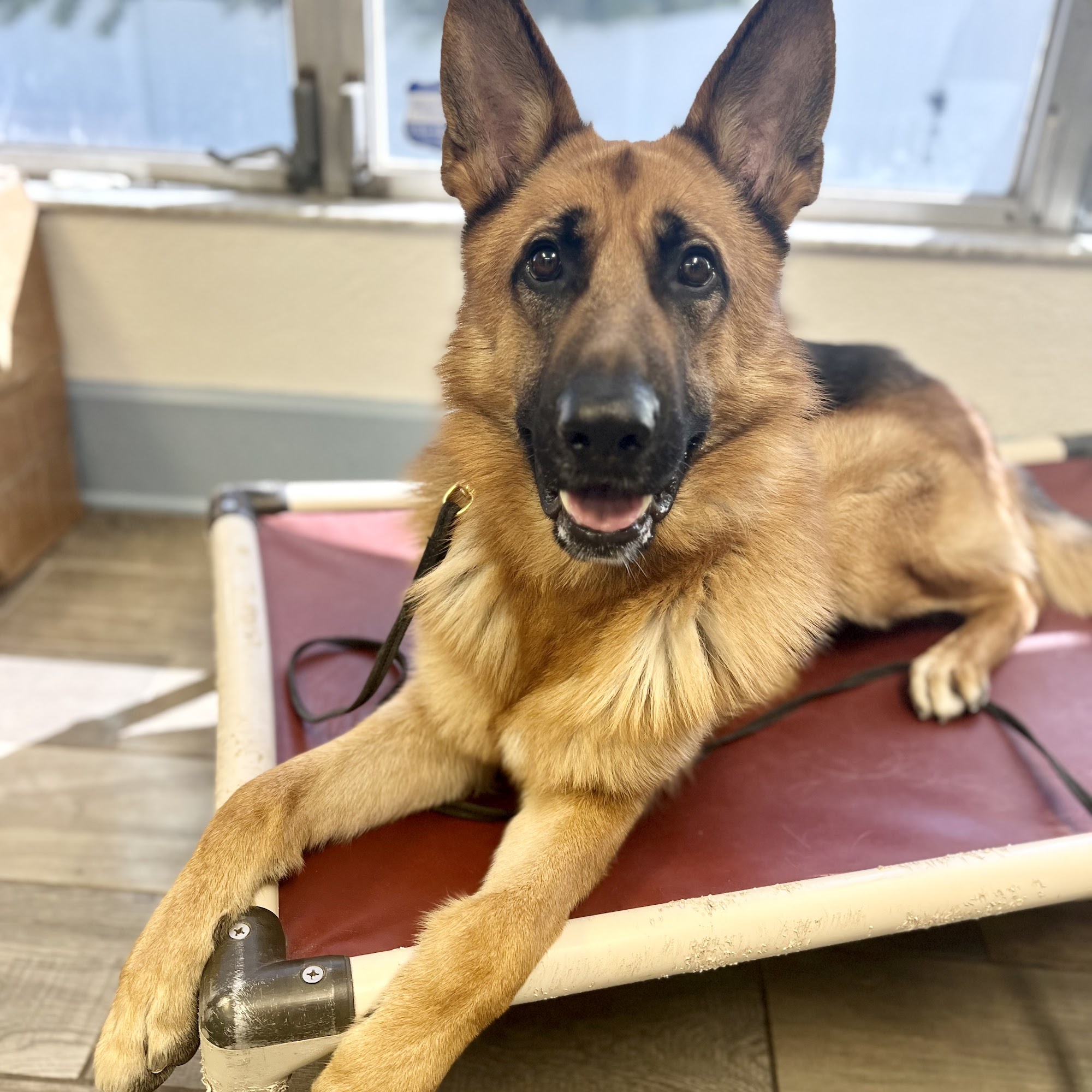 STK9 Training Company South Pasadena