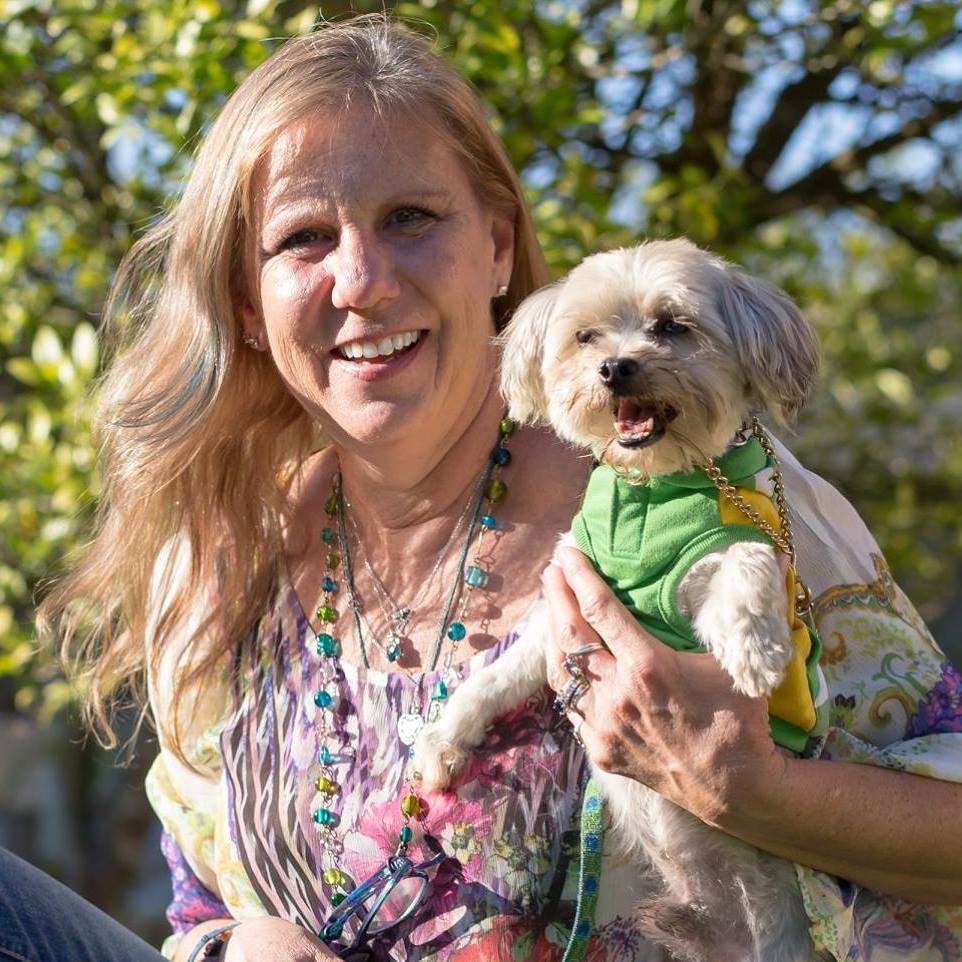 Breedmaster Dog Training Southwest Ranches