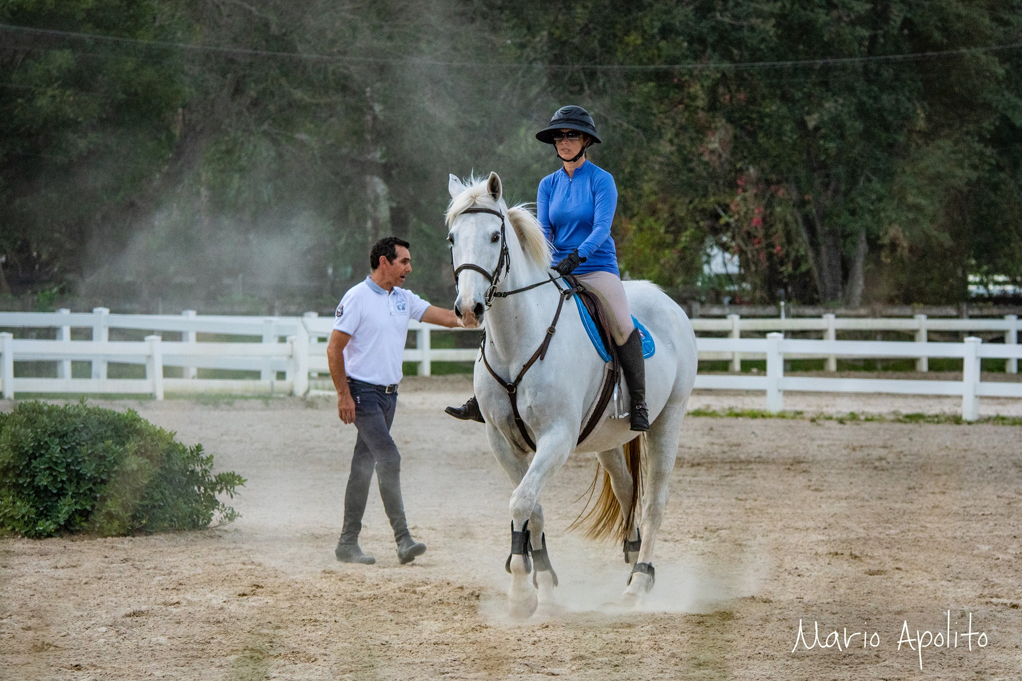 Diamond Eye Stables