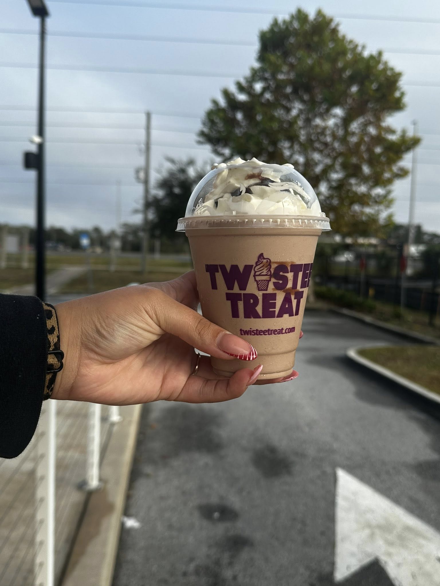 Twistee Treat Spring Hill 2 Spring Hill