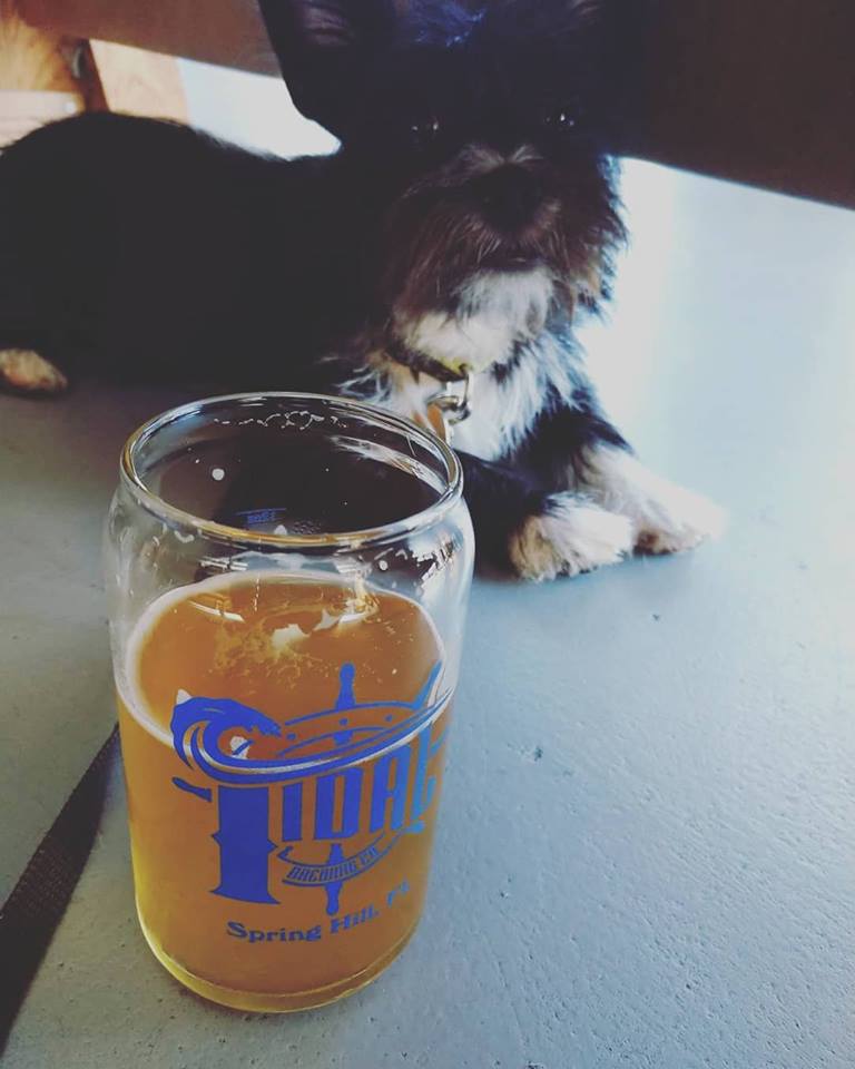 Tidal Brewing Company Spring Hill