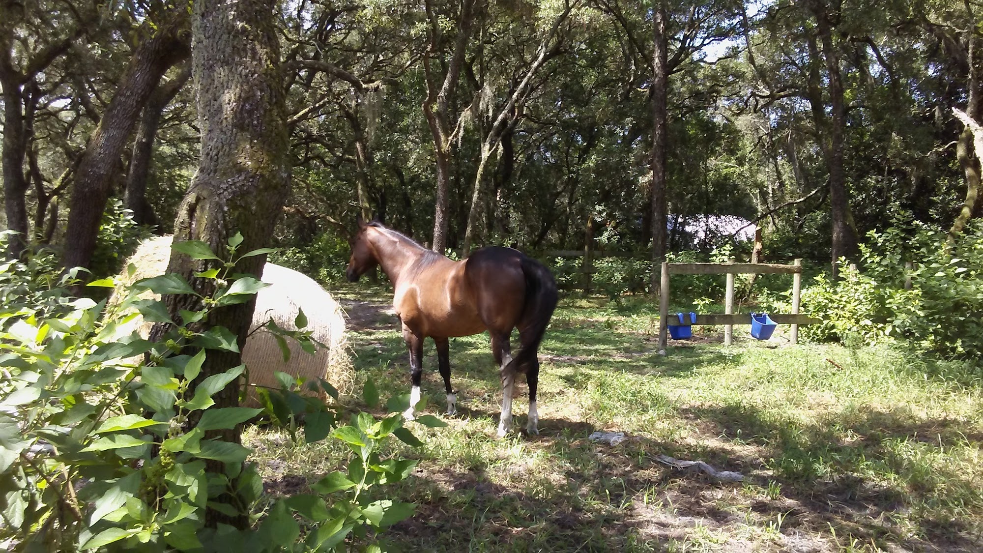 Double J Plastering & Painting Inc.