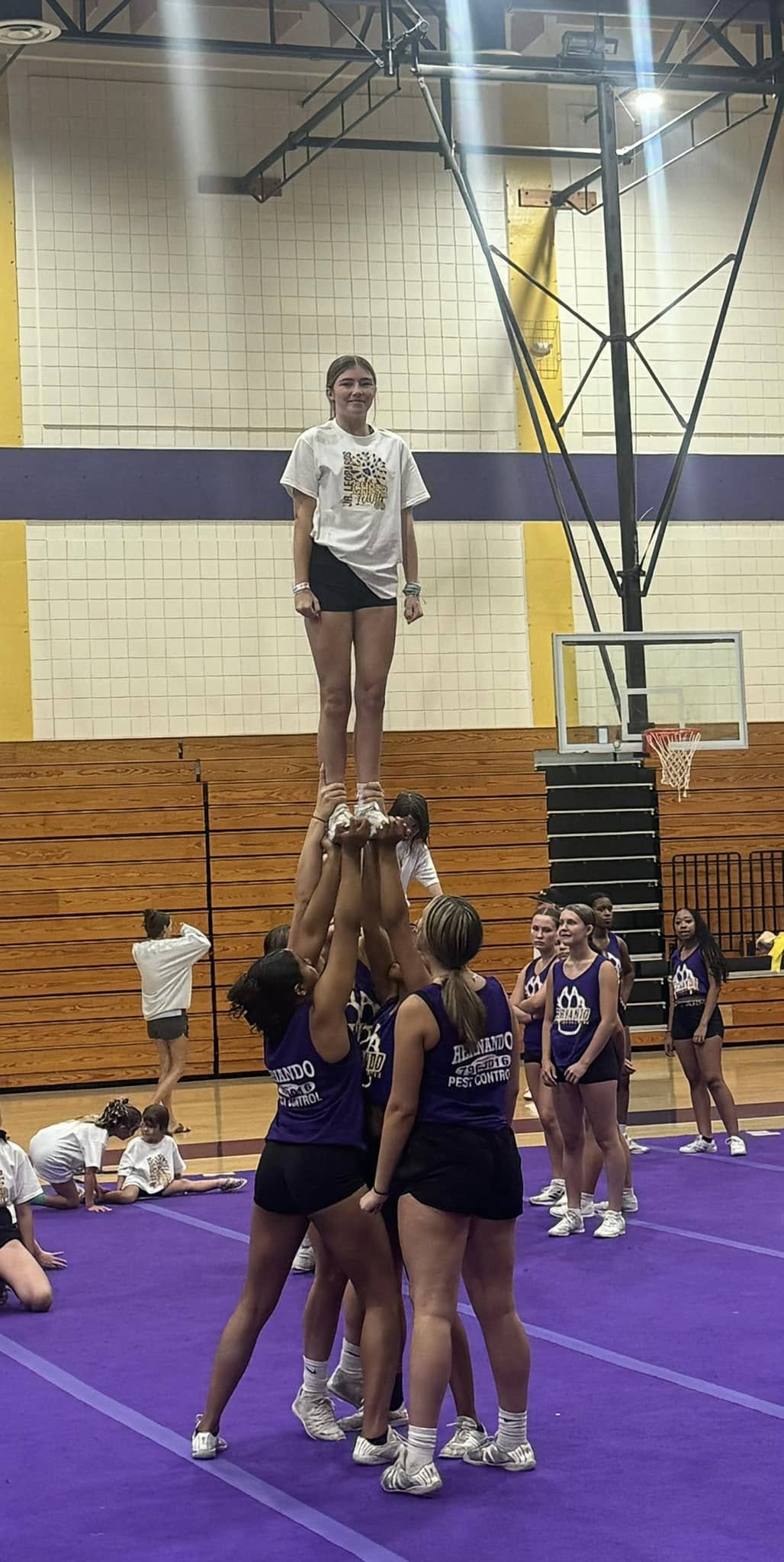 Dog grooming by Kim Spring Hill