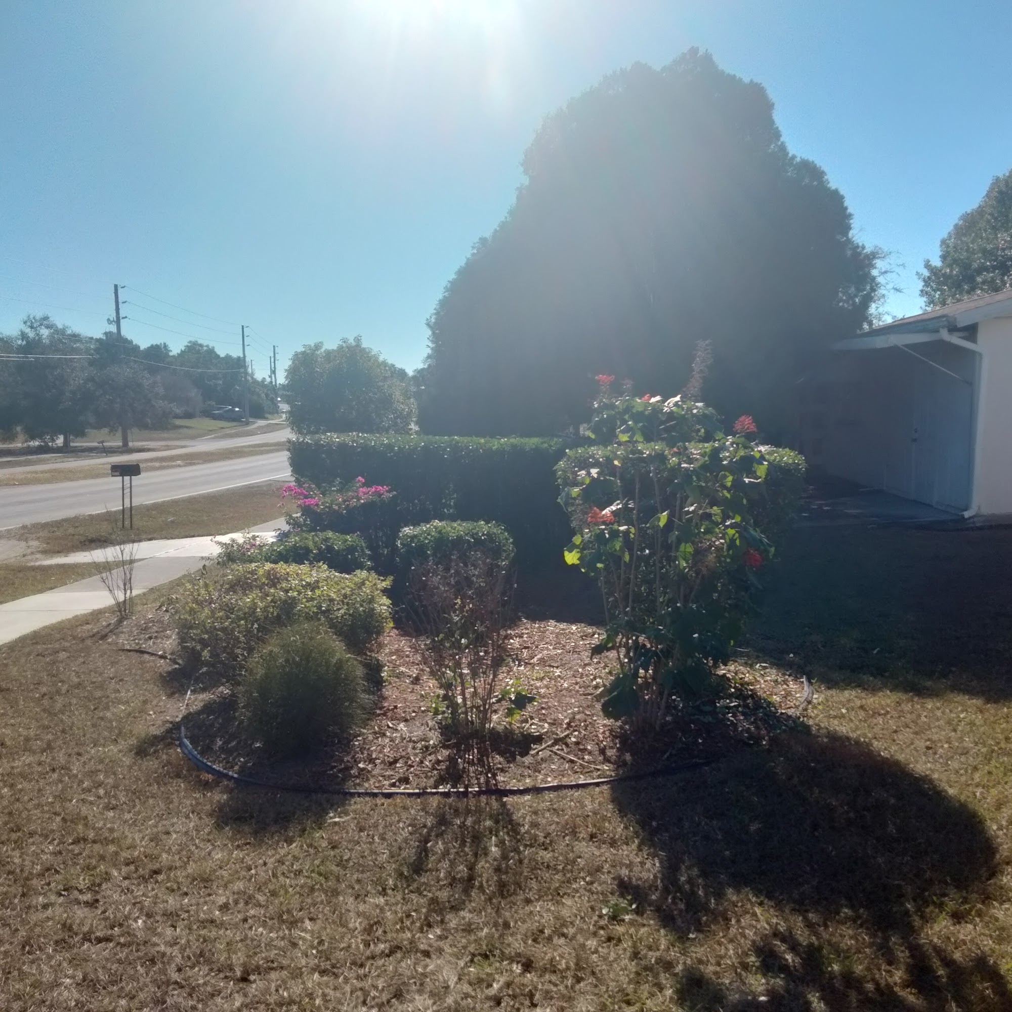 Dwight's Landscaping