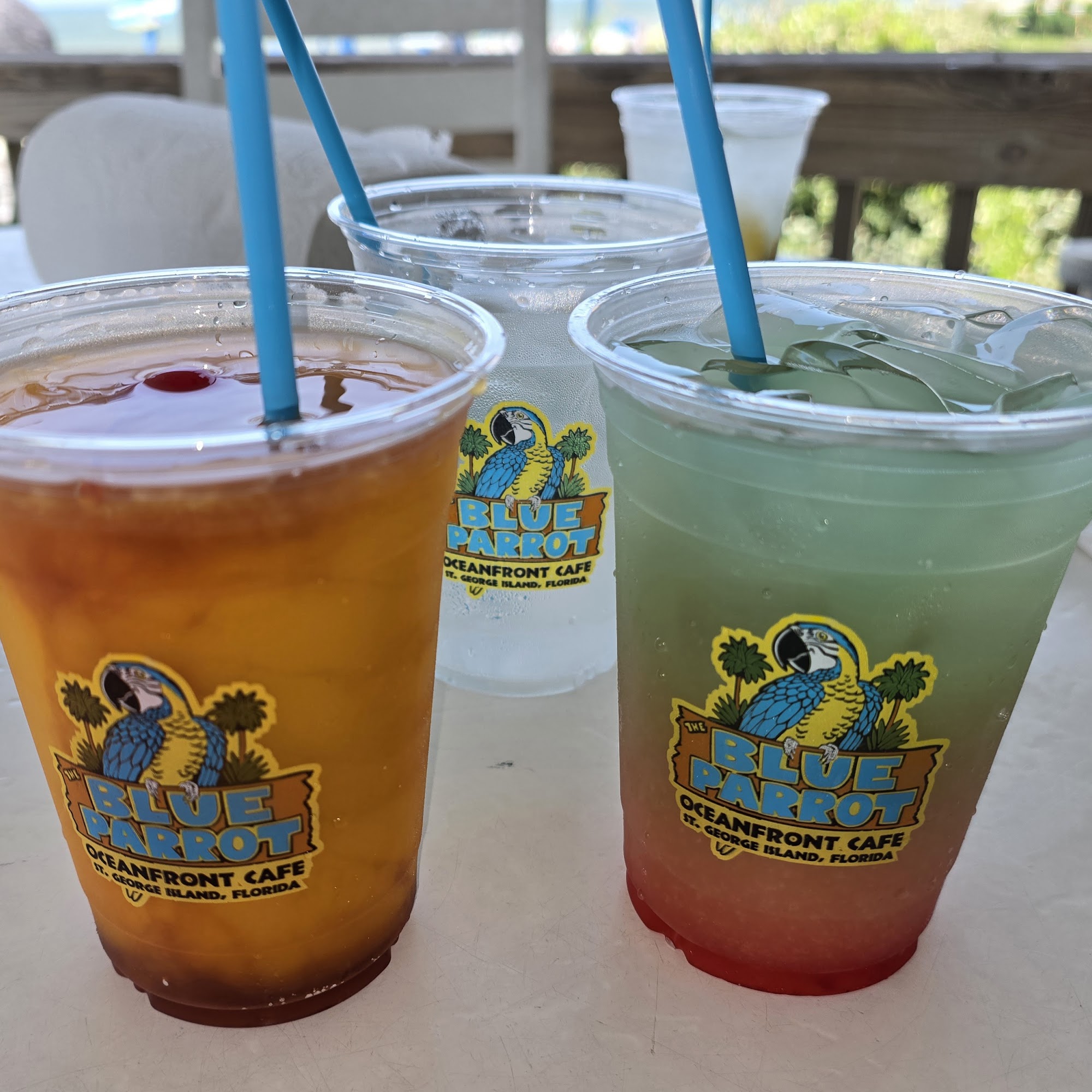 Blue Parrot Ocean Front Cafe St George Island