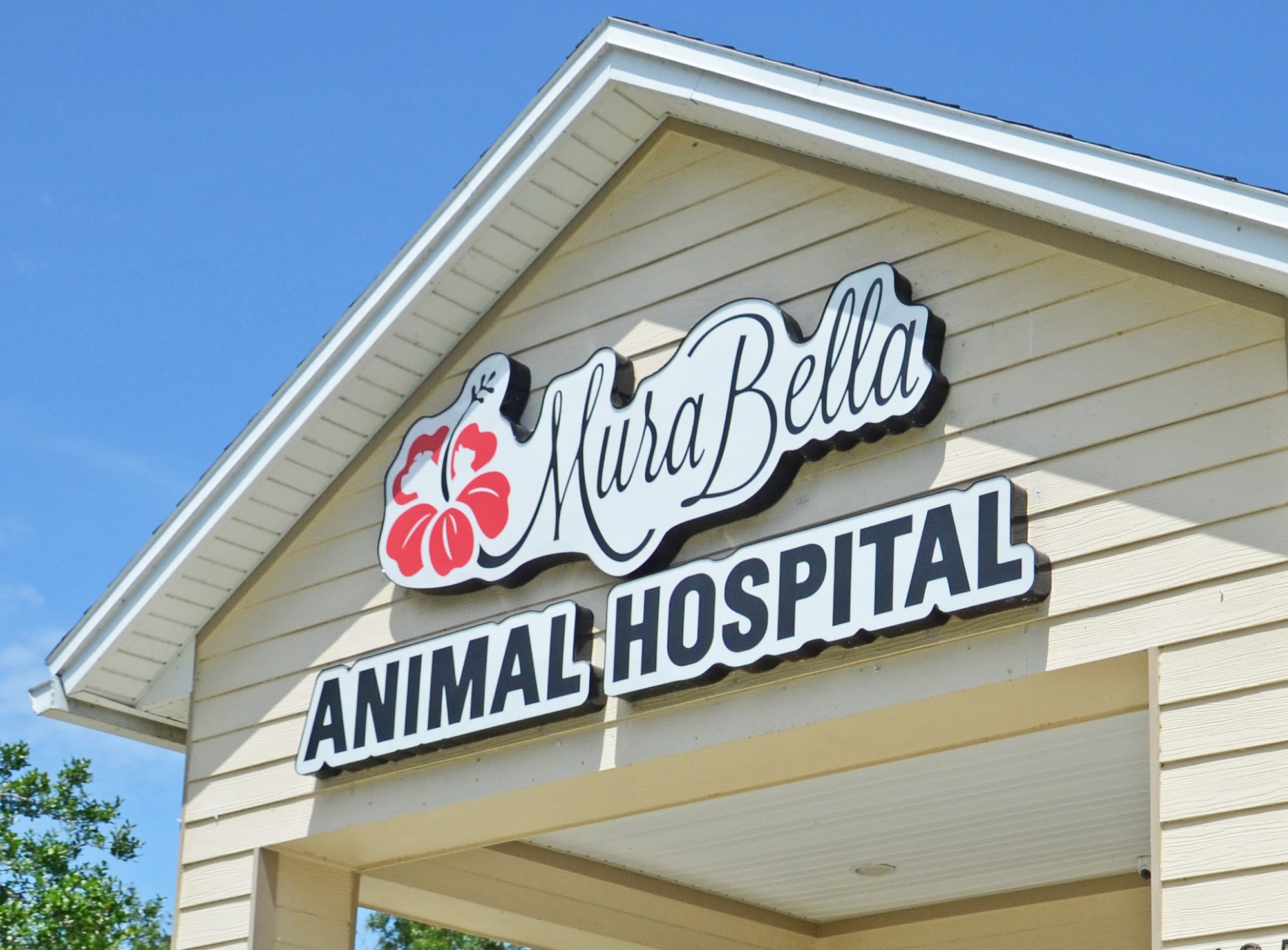 MuraBella Animal Hospital St. Augustine