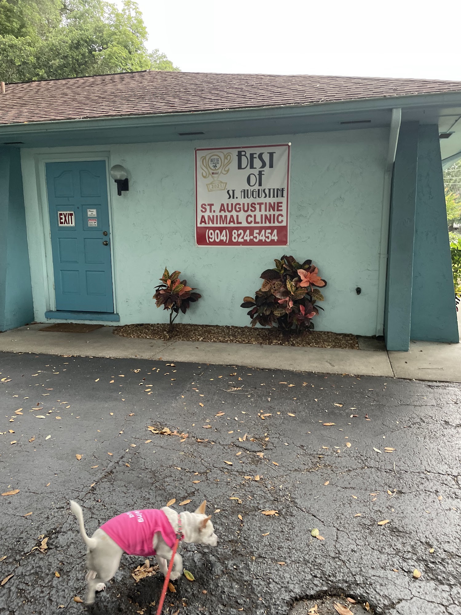 St. Augustine Animal Clinic St. Augustine