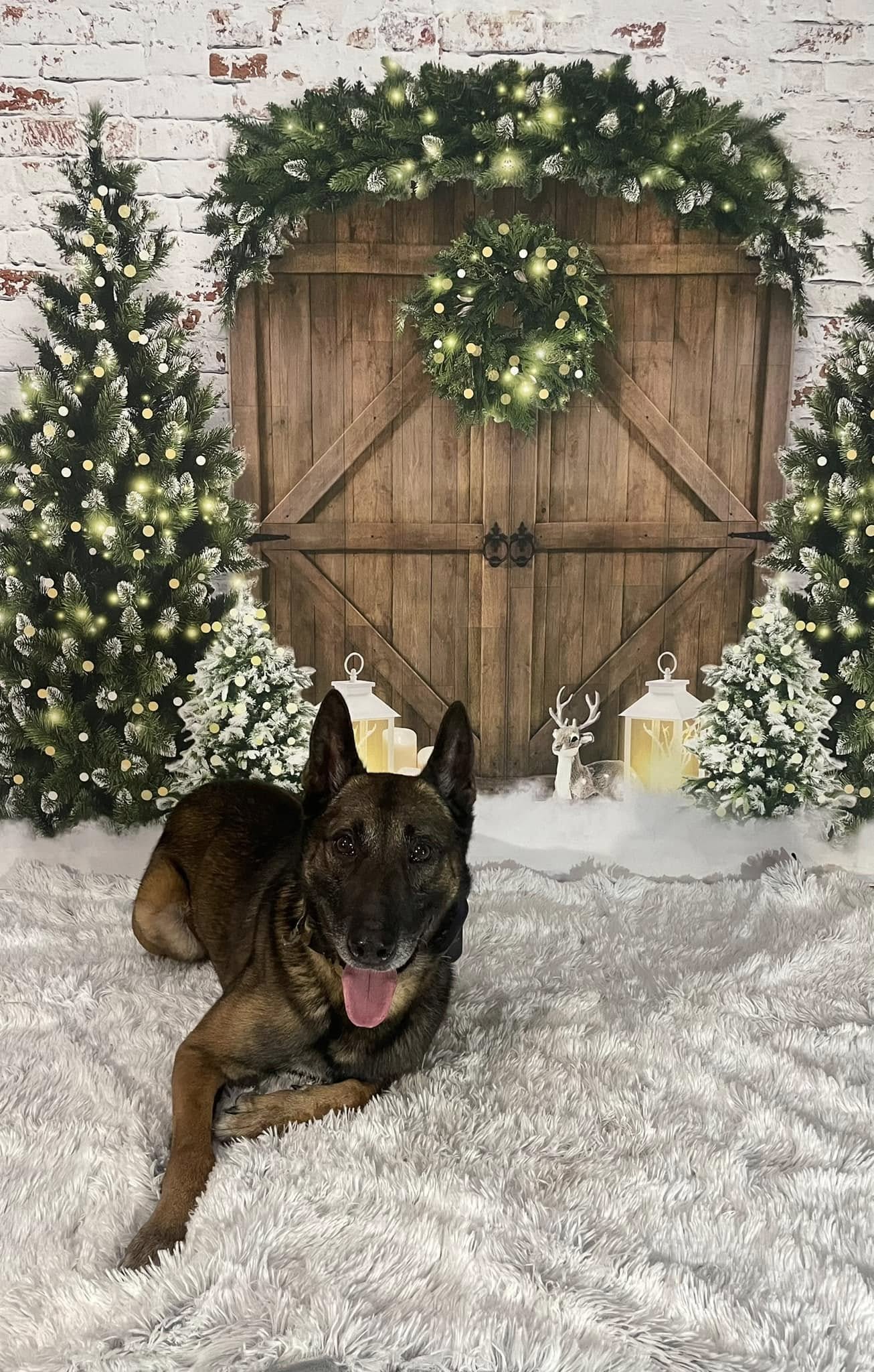 Preferred Pet Care LLC St. Augustine