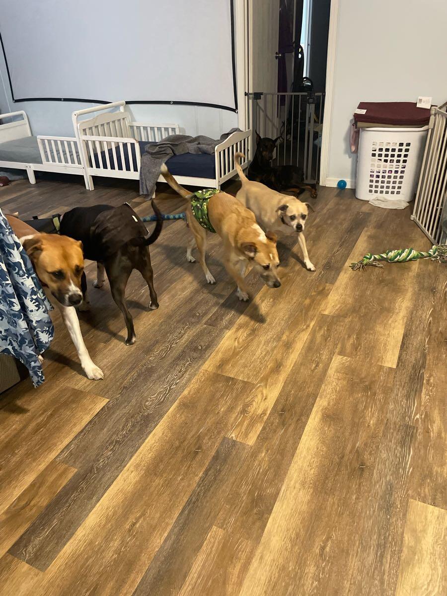 Photo credit: nextdoor