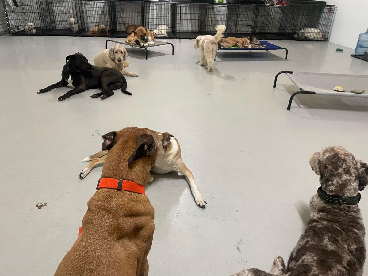 Photo credit: nextdoor