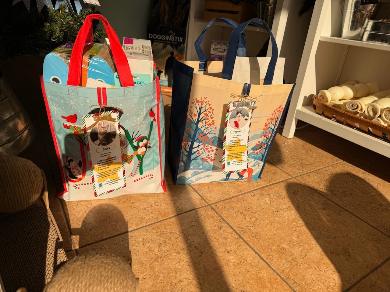 Salty Paws Grooming St. Augustine