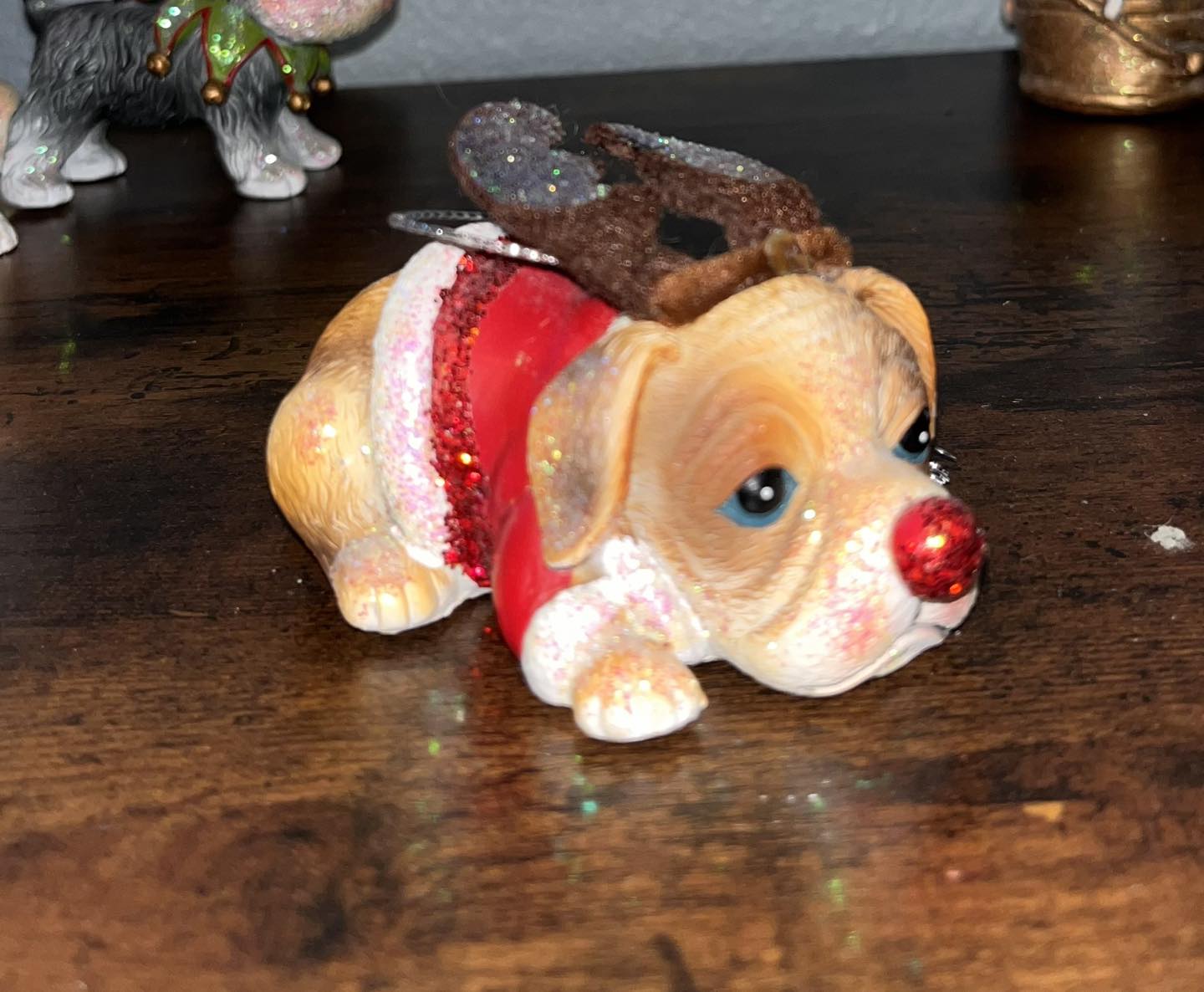 Pet Grooming by Dawn Warring St. Augustine