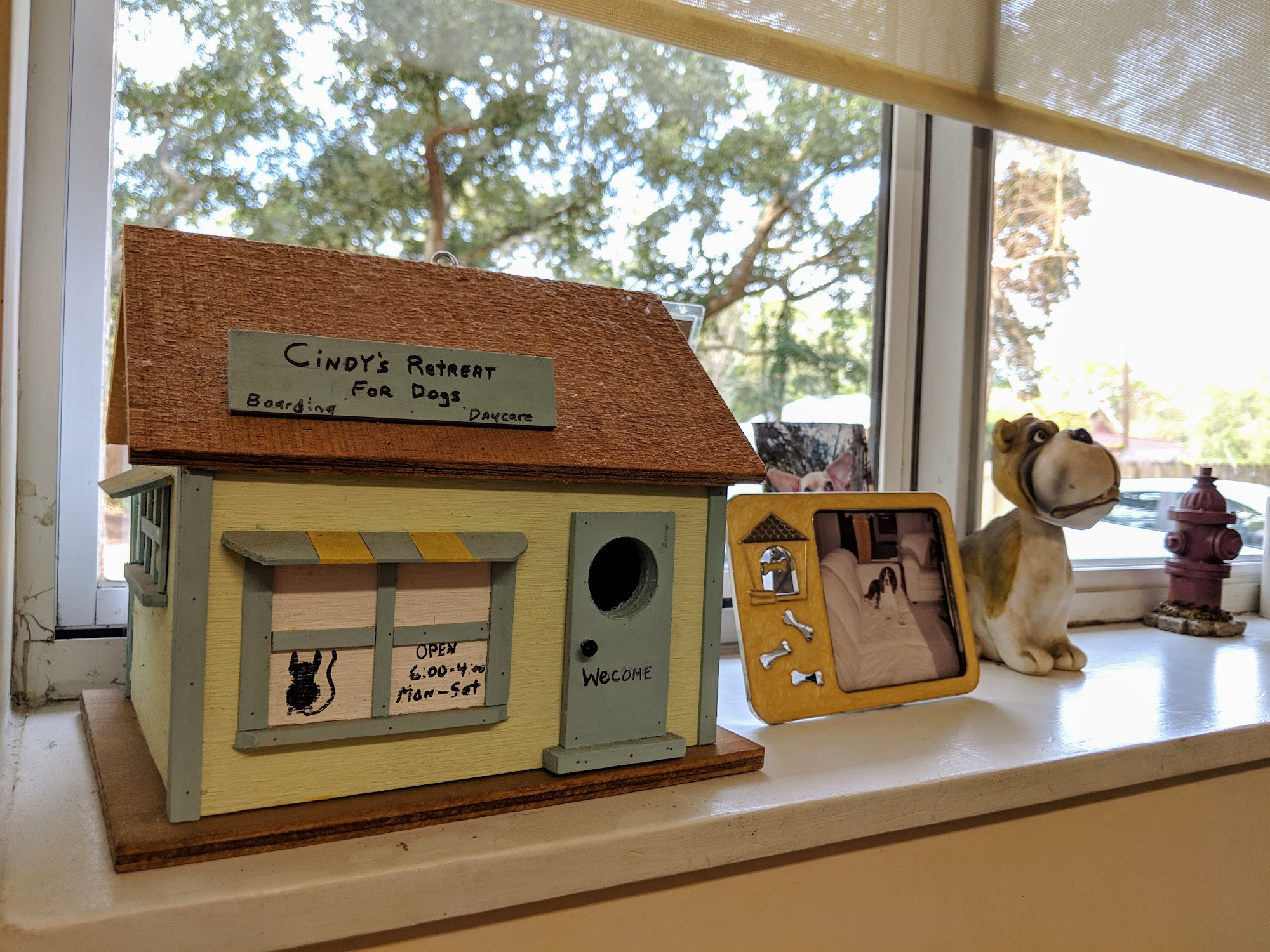 Cindy's Retreat For Dogs St. Augustine