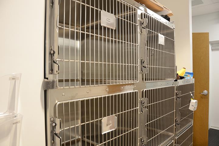 Shores Animal Hospital St. Augustine