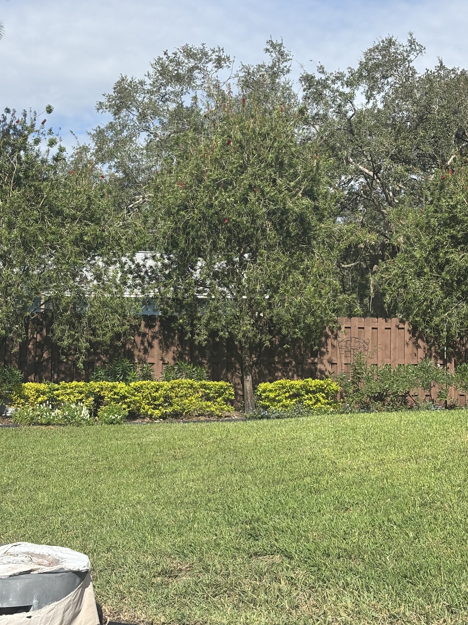 Green Earth Pest Control And Lawn Maintenance