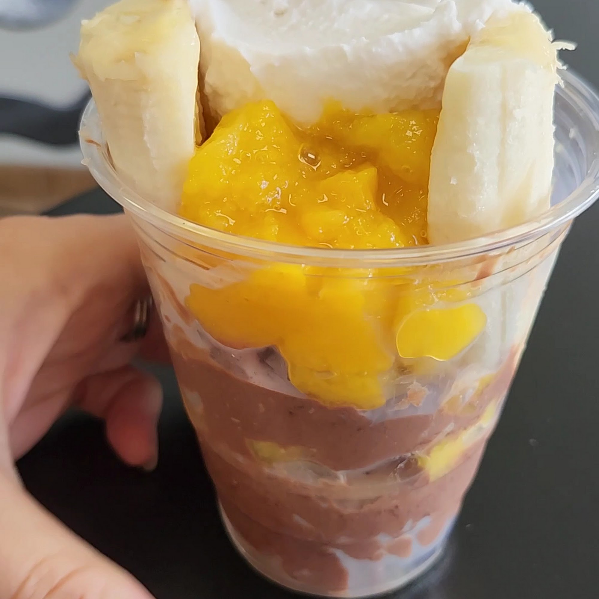 Twisted Turtle Creamery LLC St. Augustine