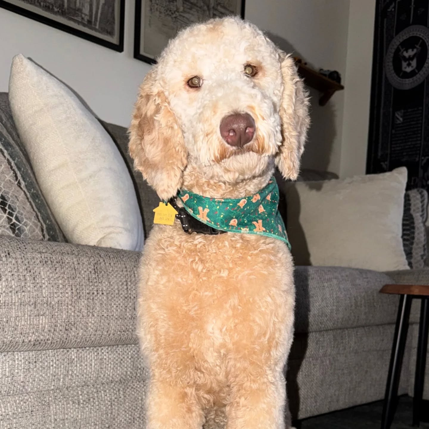 Narcoossee Oaks Animal Hospital St. Cloud