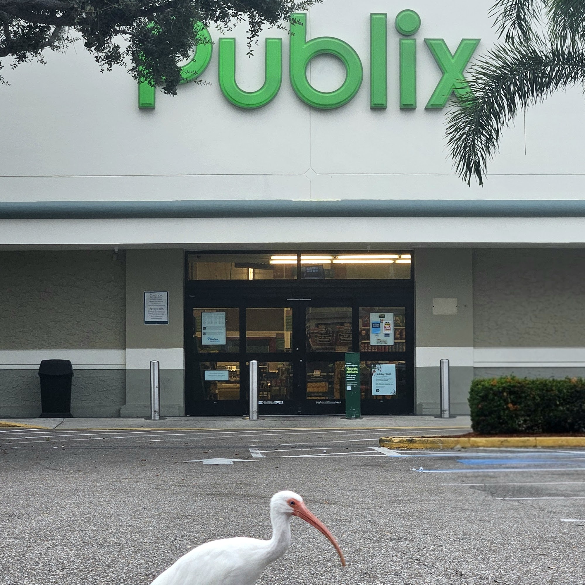 Publix Pharmacy at Seville Square