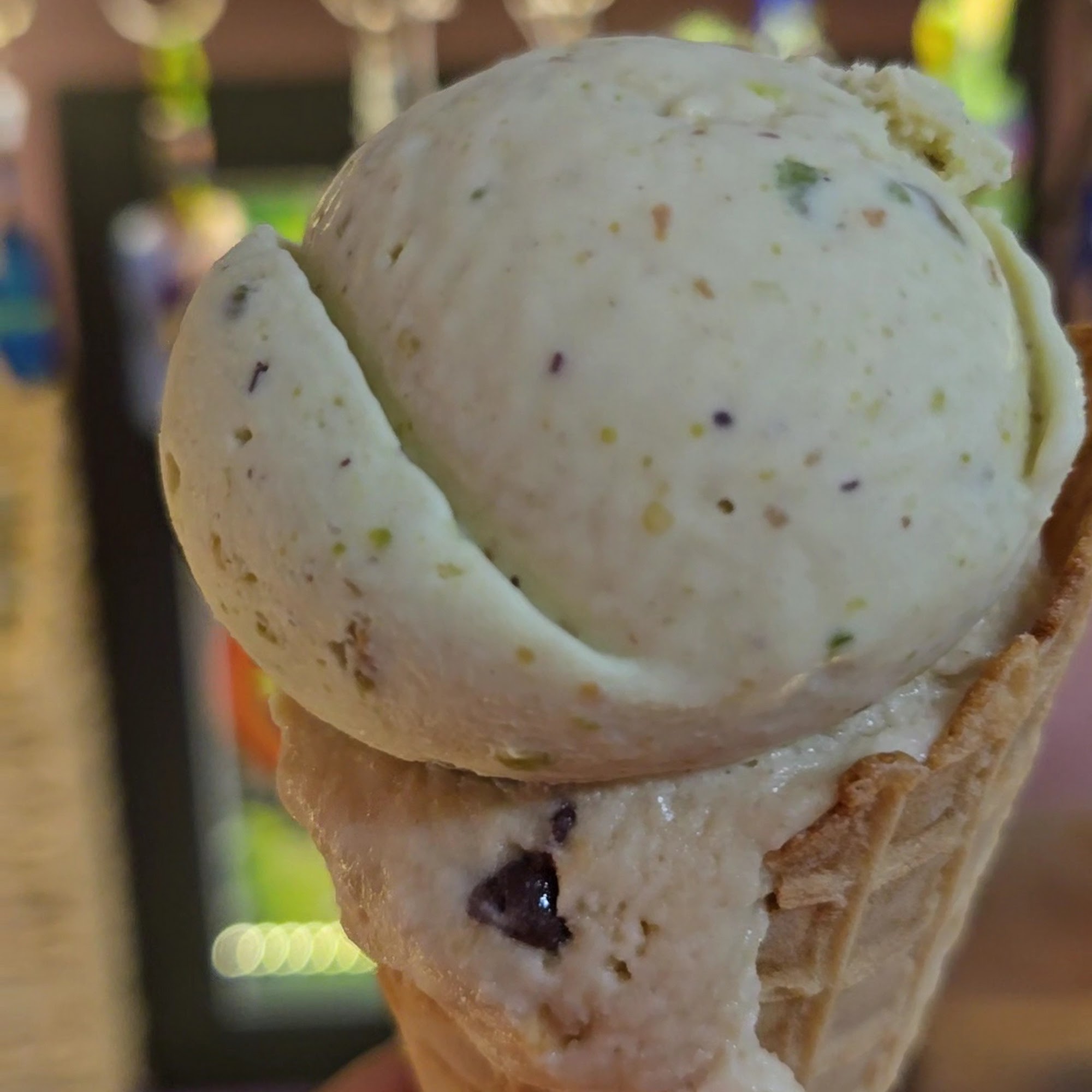 Plant Love Ice Cream St. Petersburg