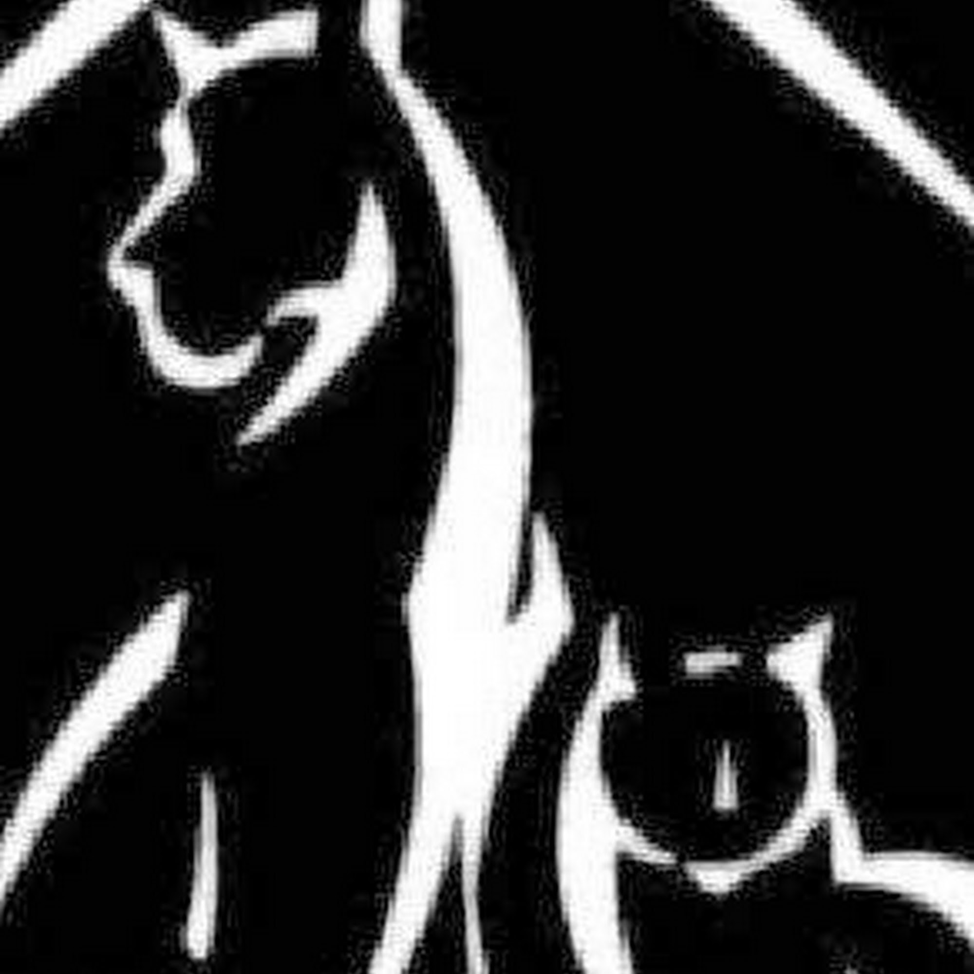 Bradford Pet Care Hospital Starke