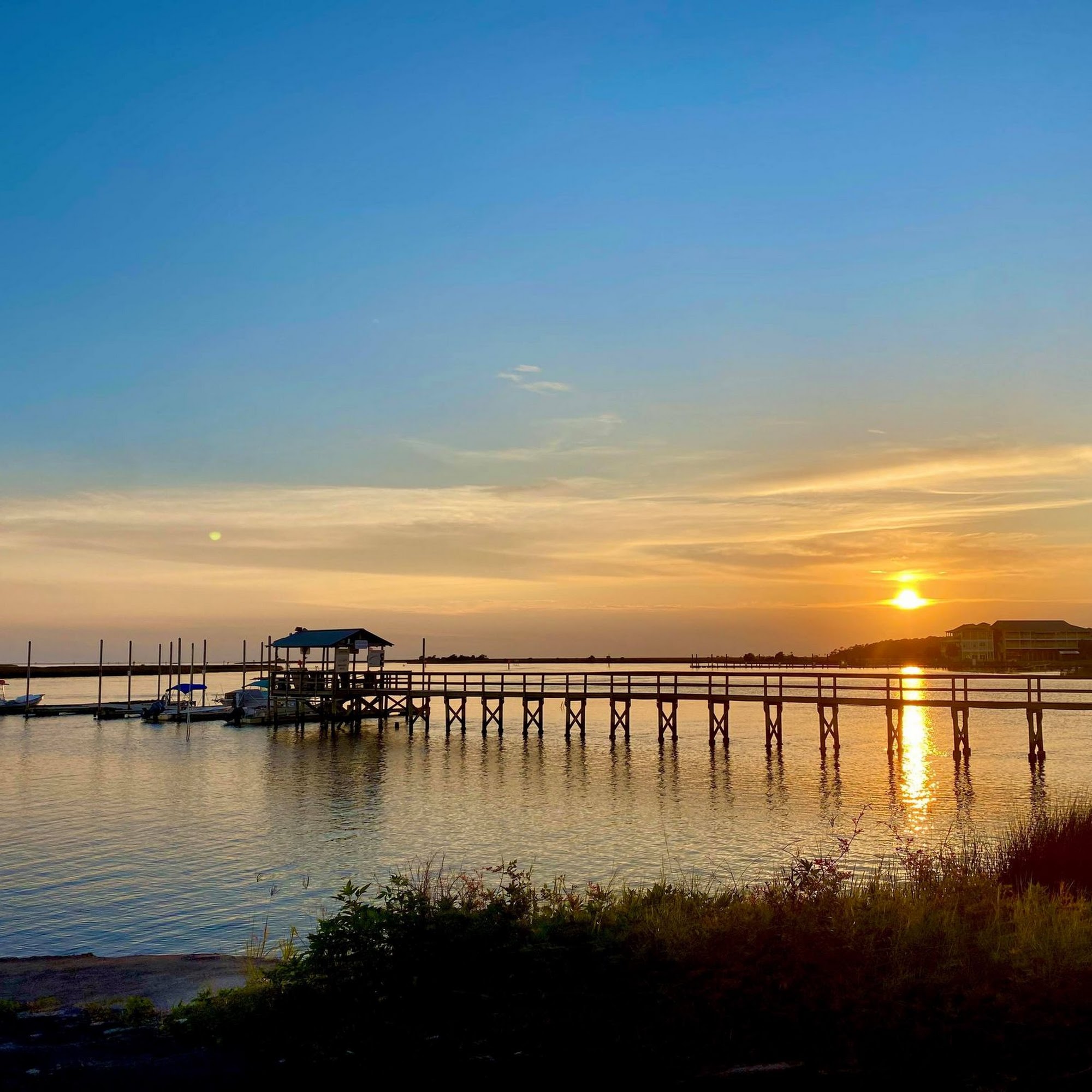 Puddin's Hatch Wagons, LLC. Golf Cart Rental Company Steinhatchee