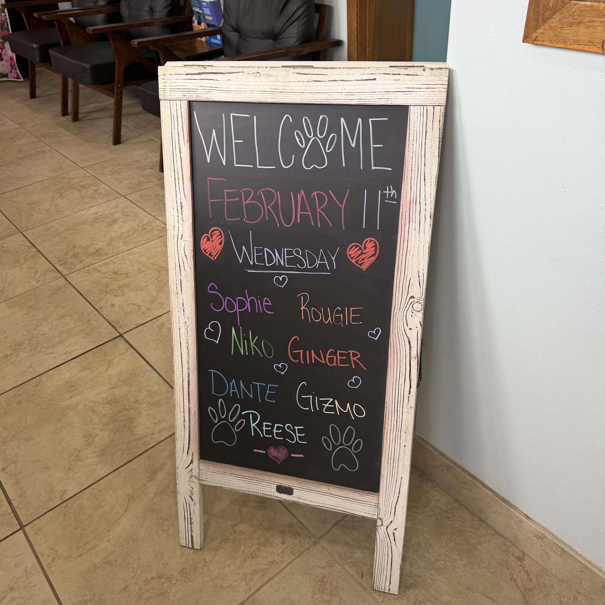 Animal Care Extraordinaire Stuart