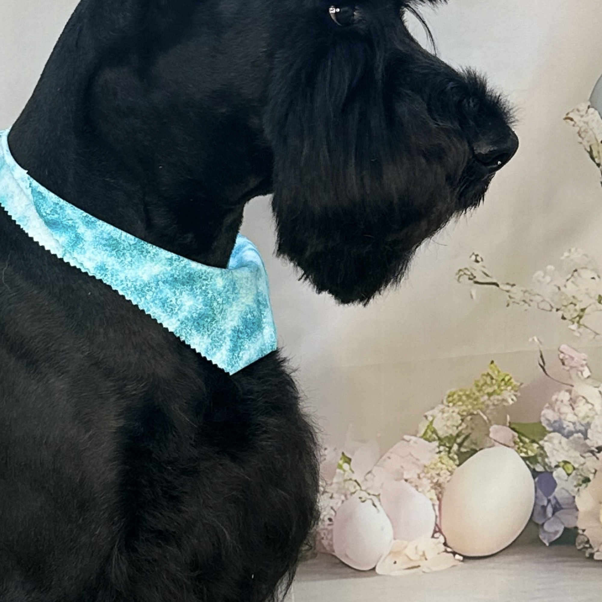 Florida State K9 Academy Stuart