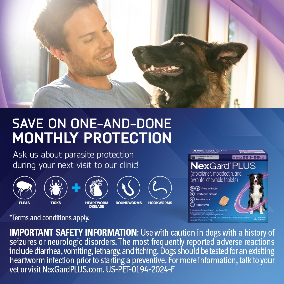 Veterinary Heart Institute